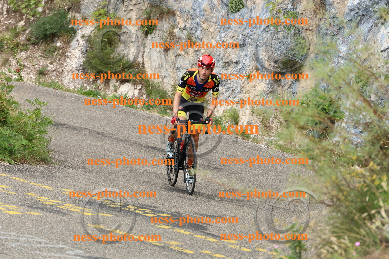 Col du Grand Colombier  (581).JPG