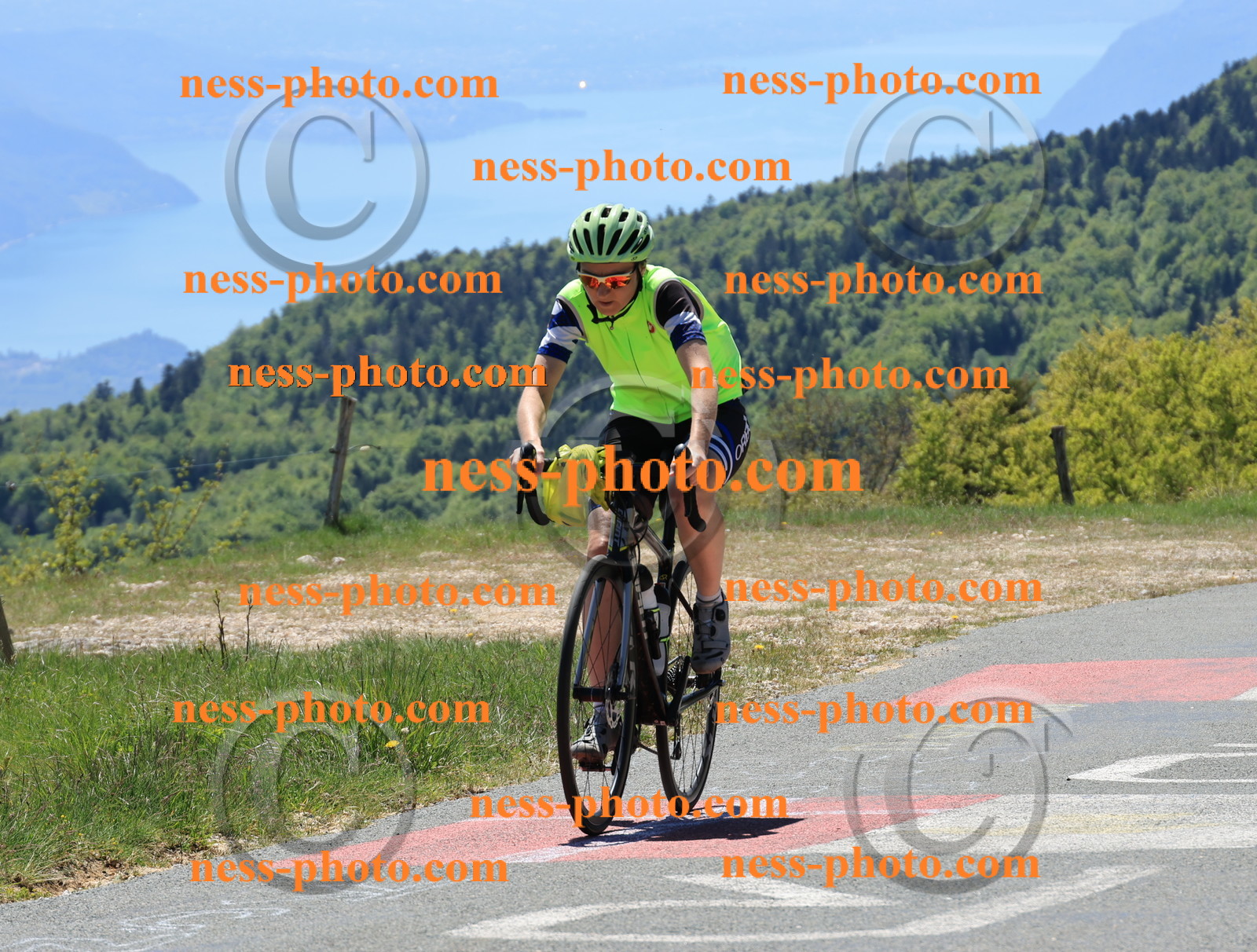 Col du Grand Colombier (247).JPG