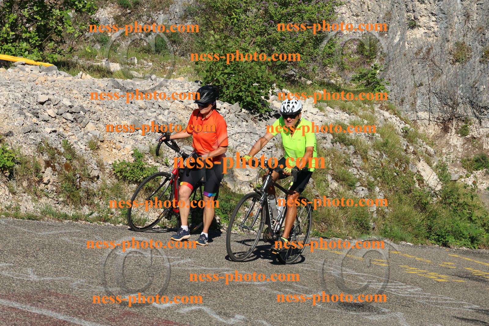 Col du Grand Colombier (164).JPG