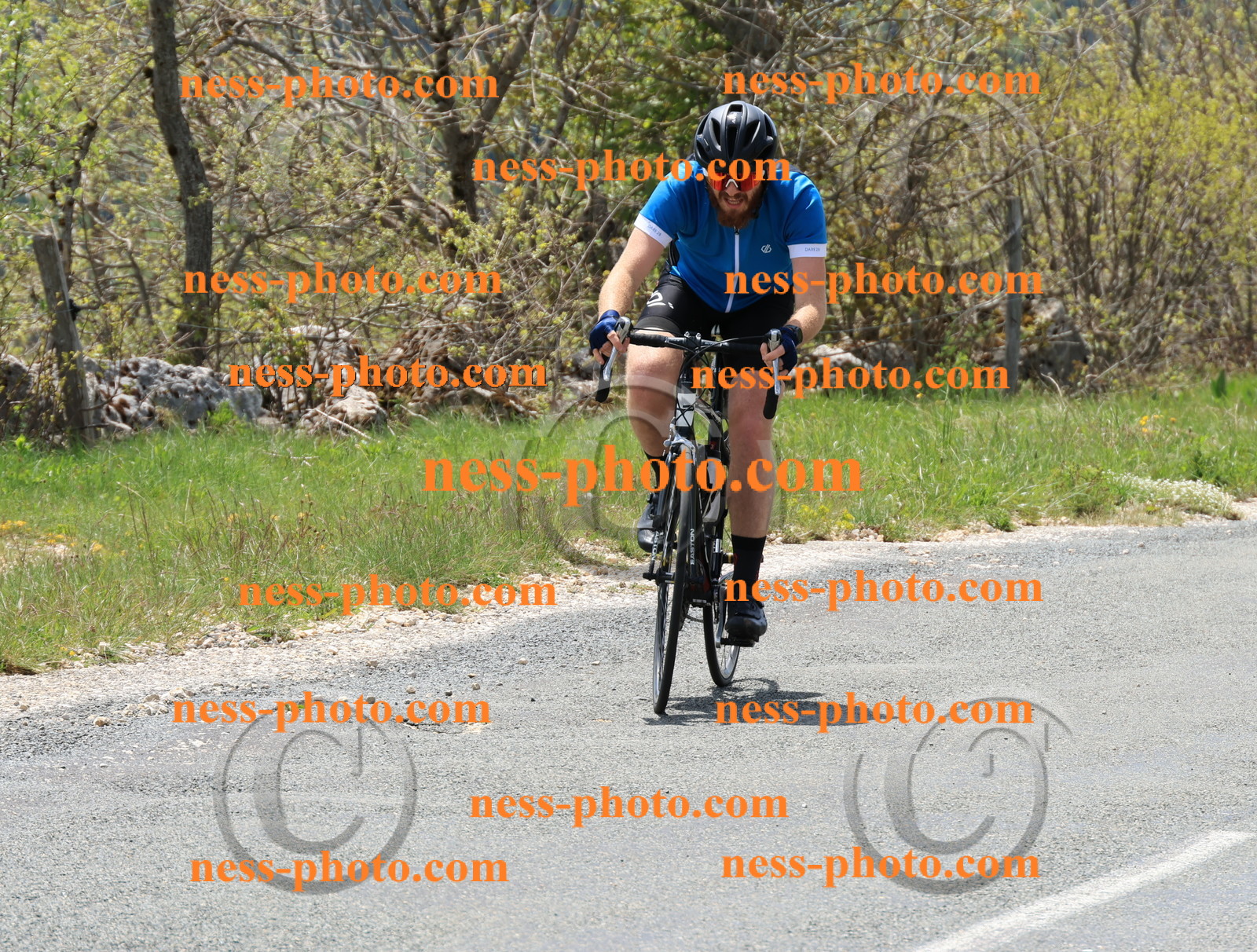 Col du Grand Colombier (296).JPG