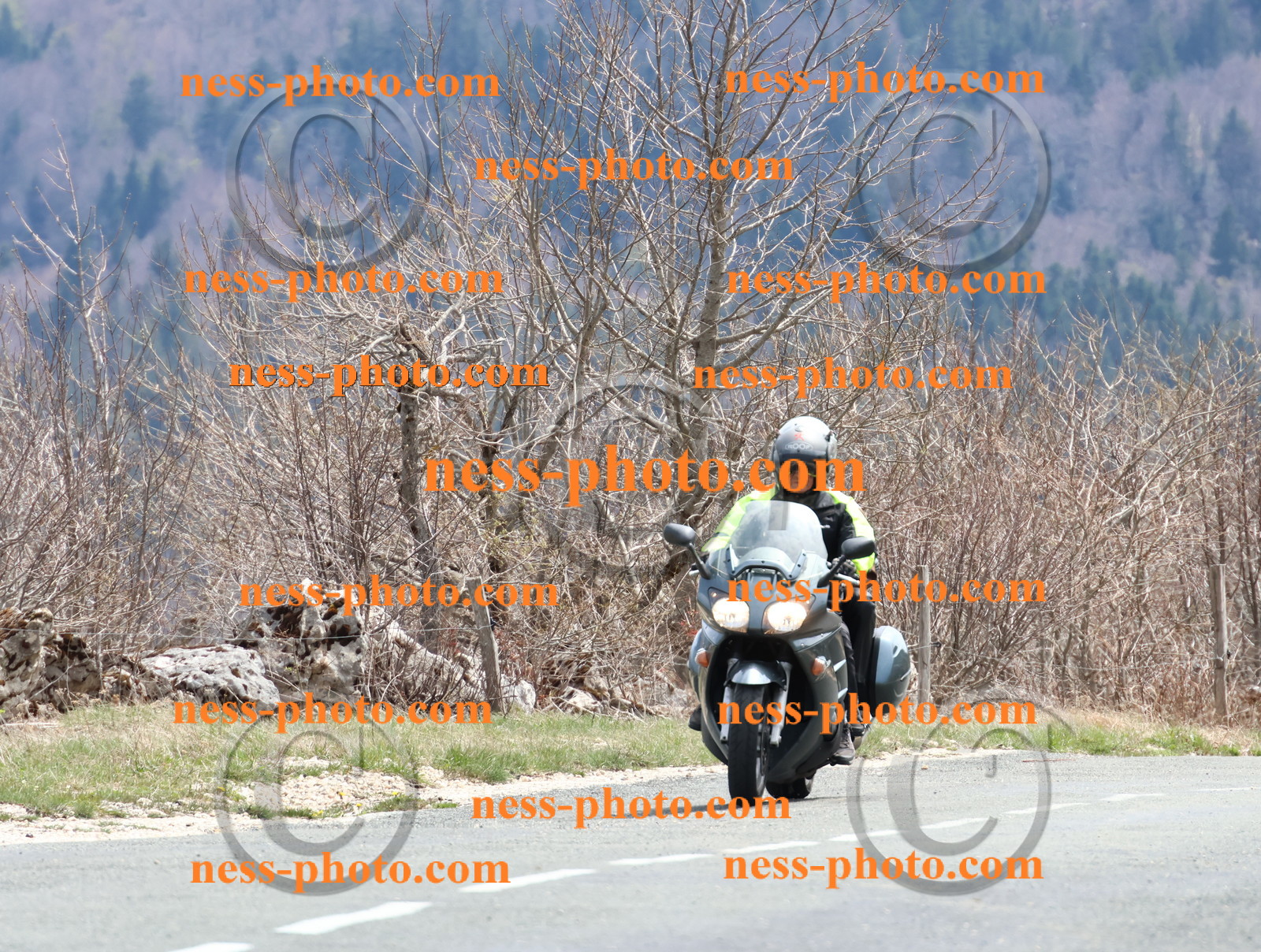 Col  du Grand Colombier (44).JPG