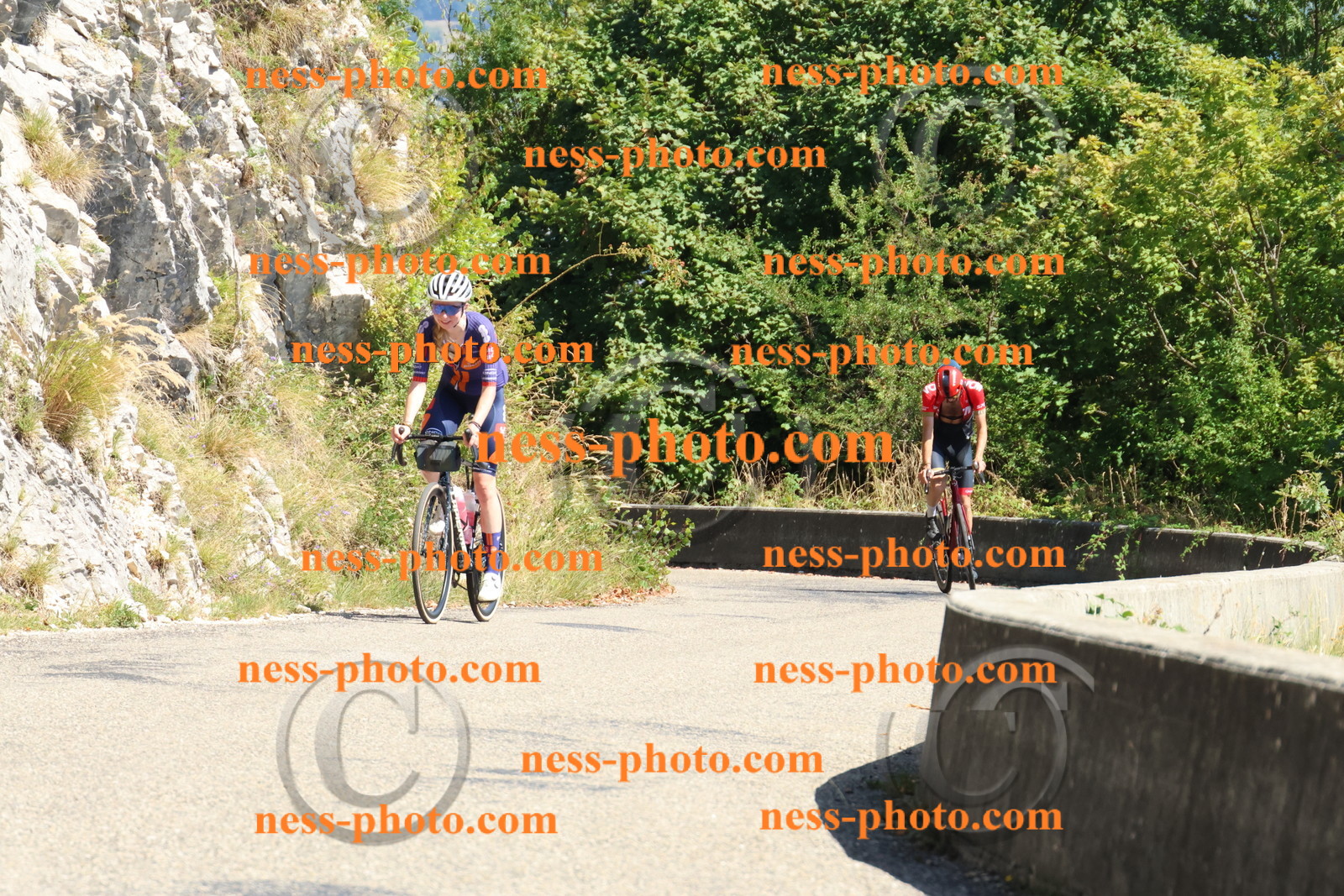 Col du Grand Colombier (591).JPG