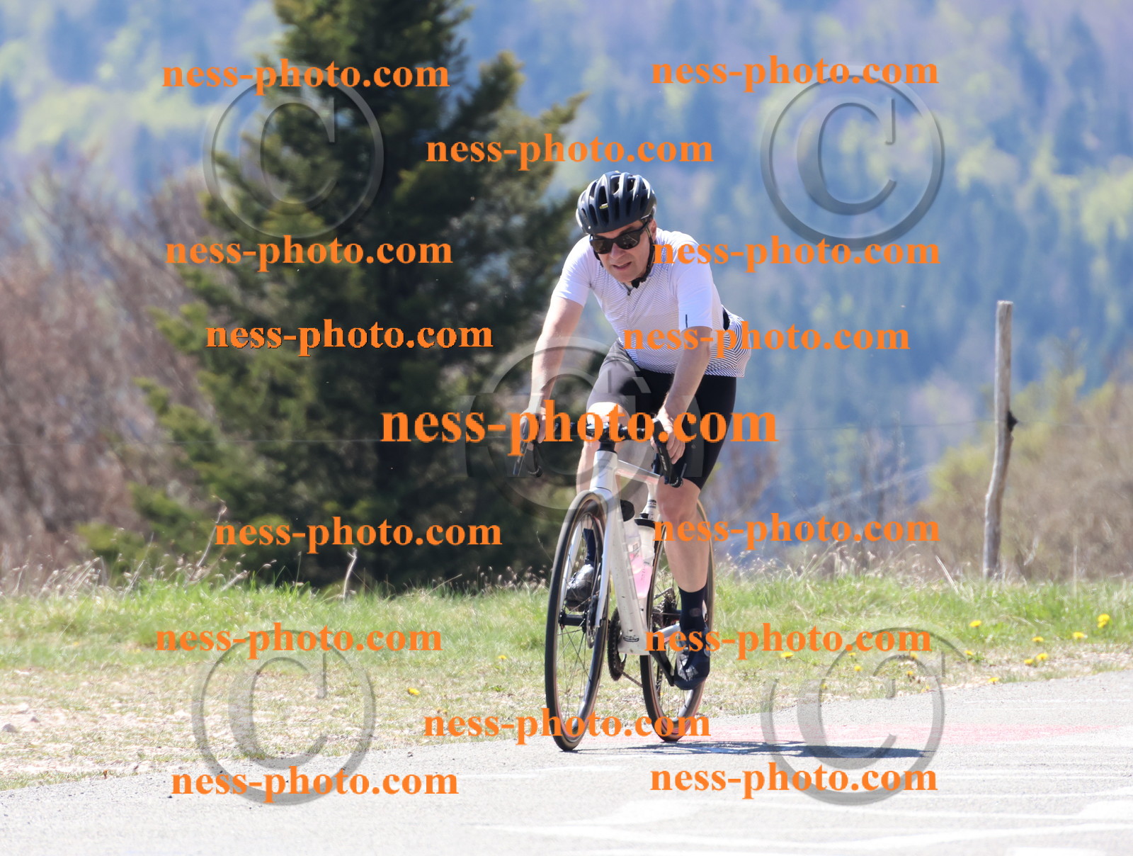 Col du Grand Colombier (202).JPG