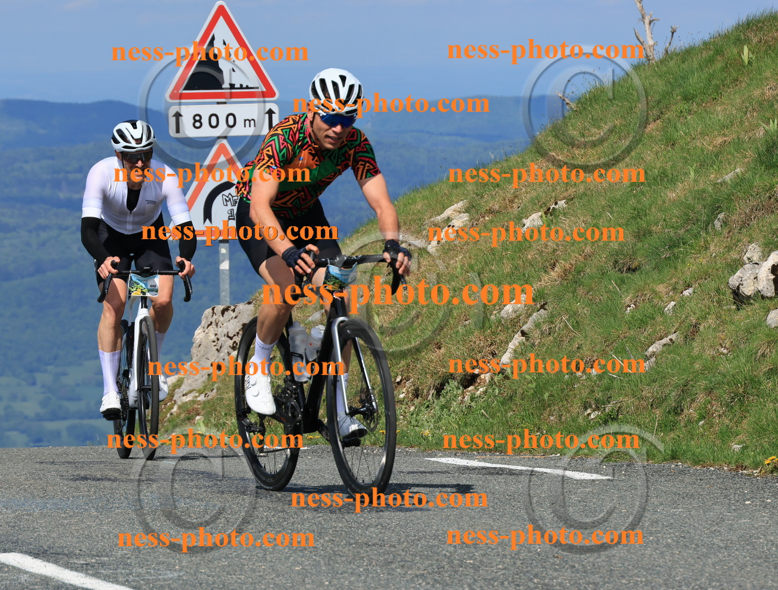 Col du Grand Colombier (191).JPG