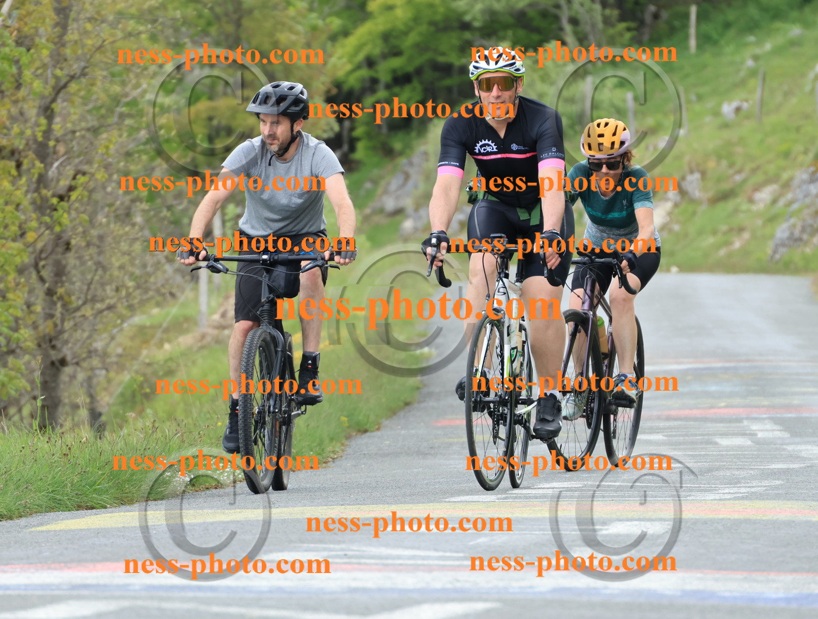 Col du Grand Colombier (586).JPG