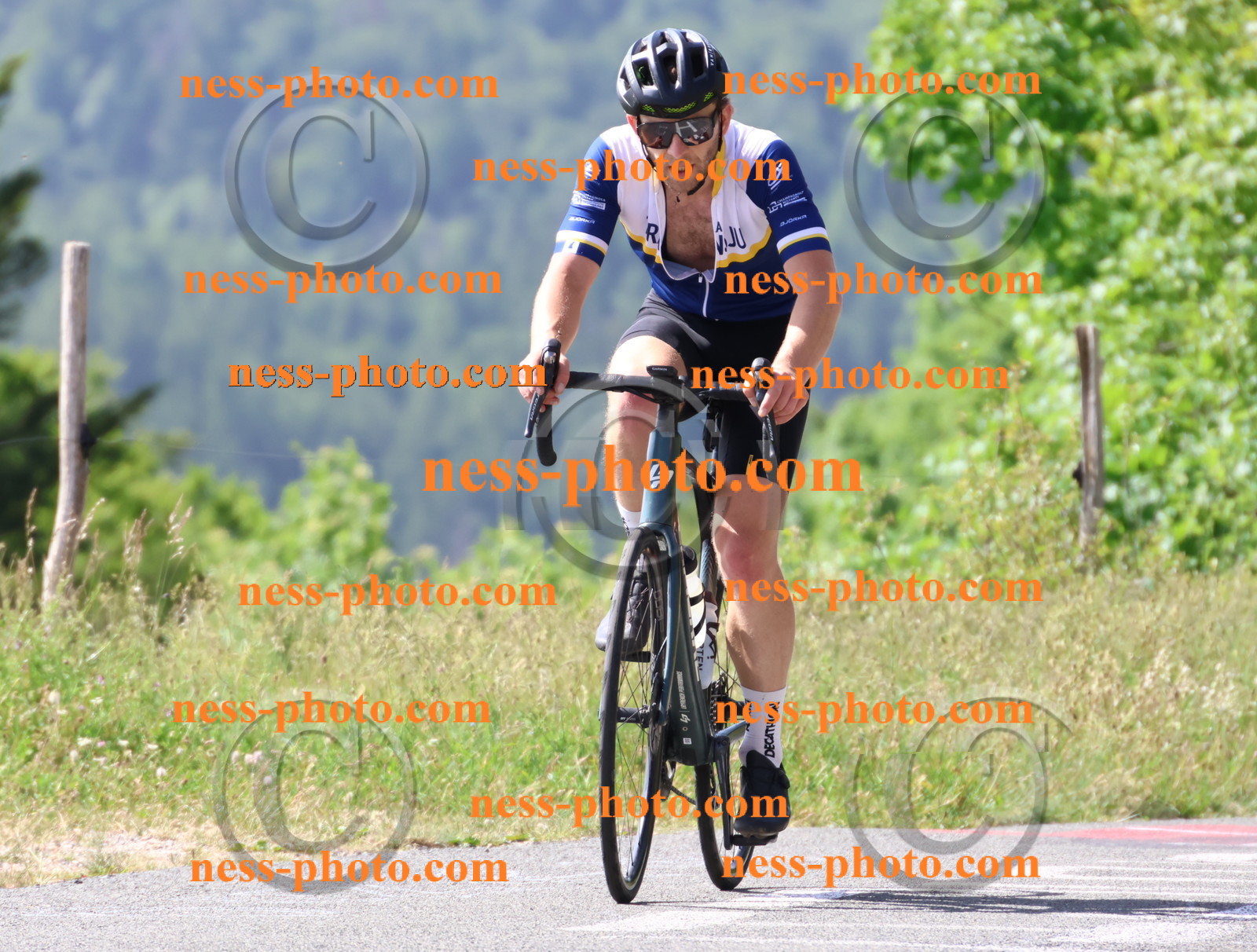 Col du grand Colombier (796).JPG