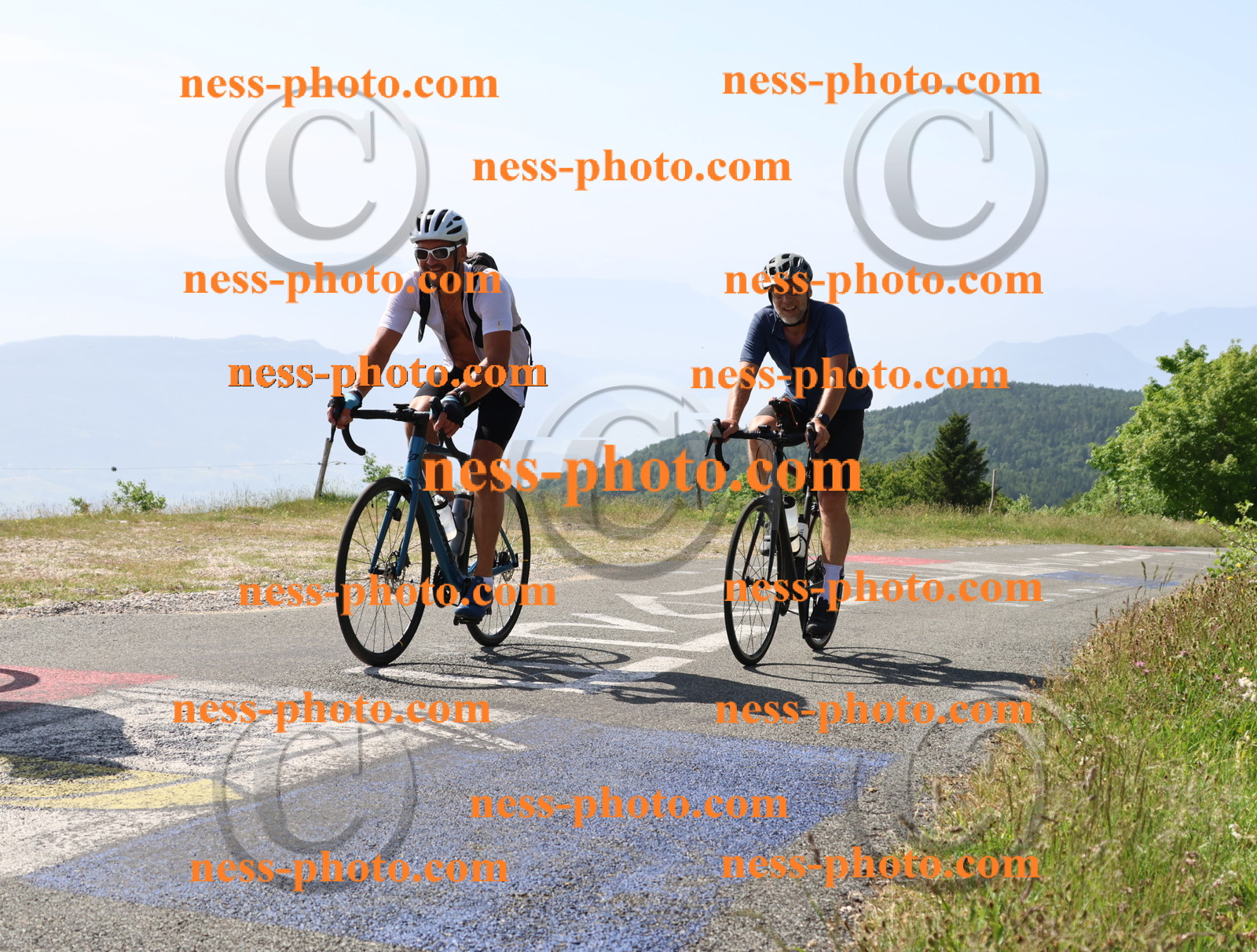 Col du grand Colombier (739).JPG