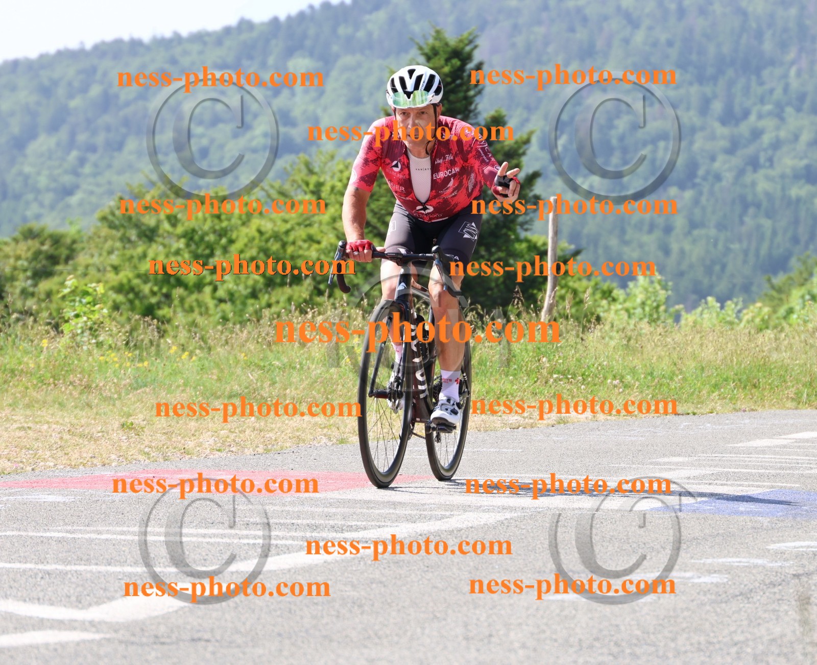 Col du grand Colombier (755).JPG