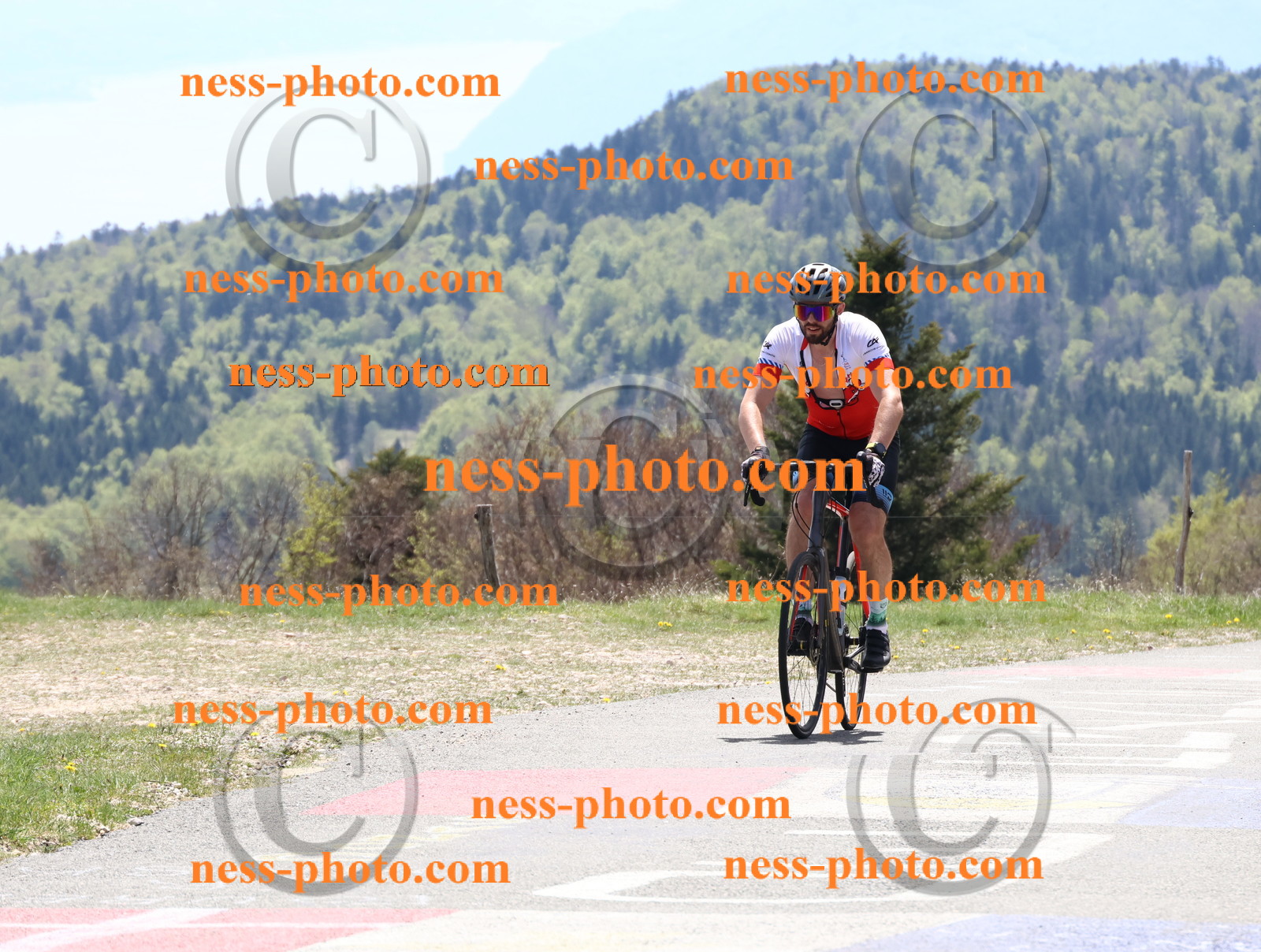 Col du Grand Colombier (537).JPG