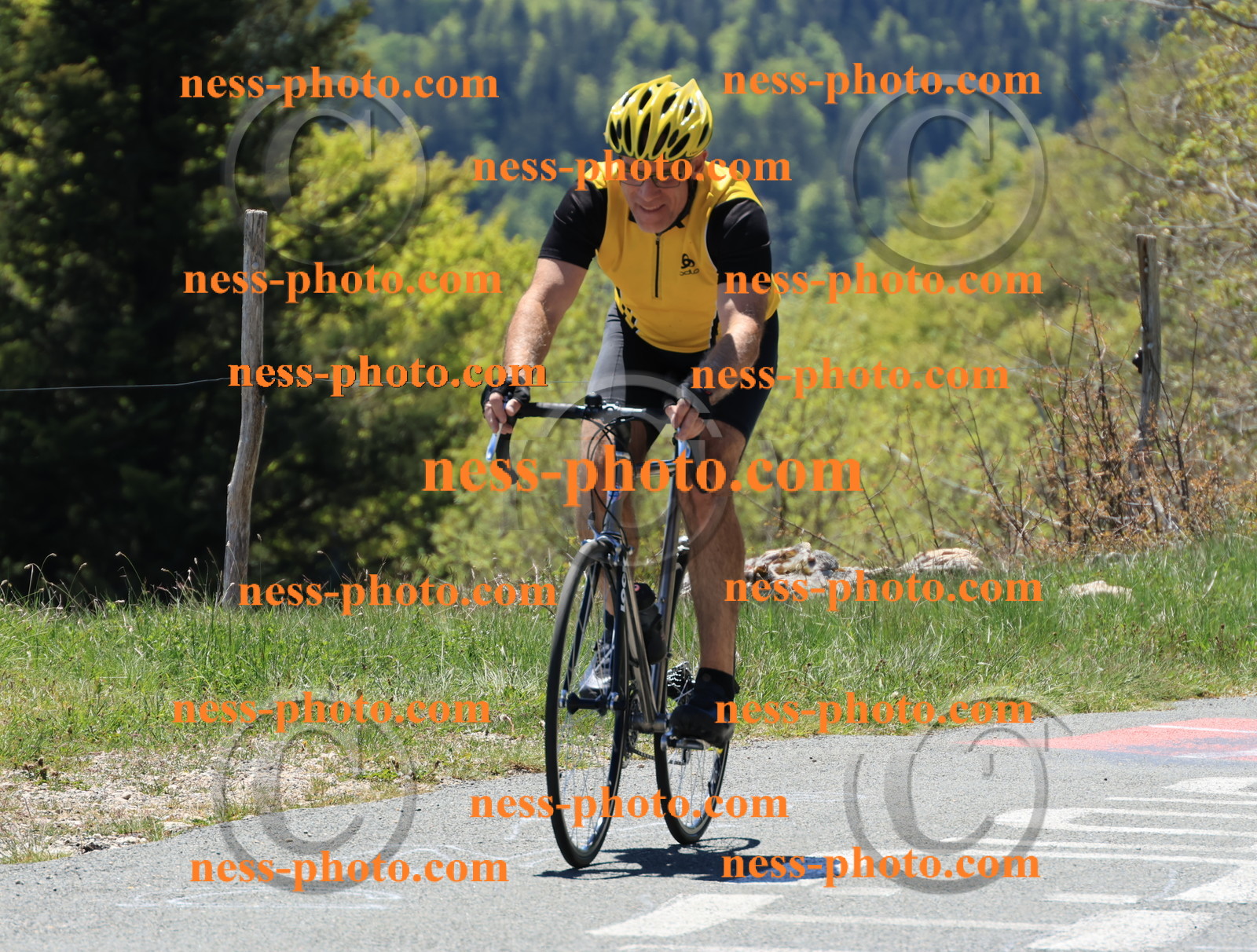 Col du Grand Colombier (262).JPG