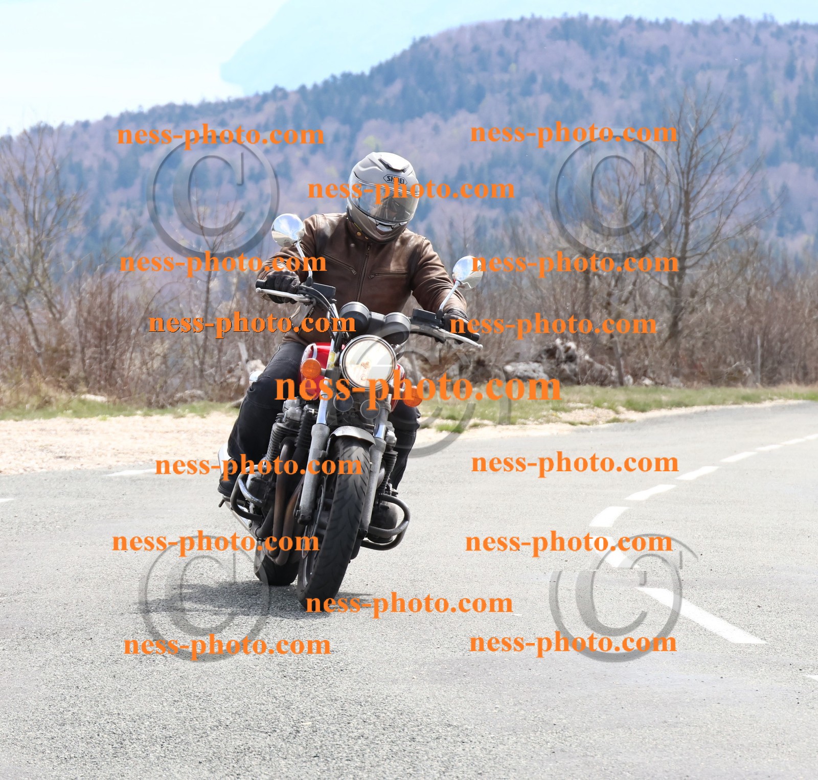 Col  du Grand Colombier (36).JPG