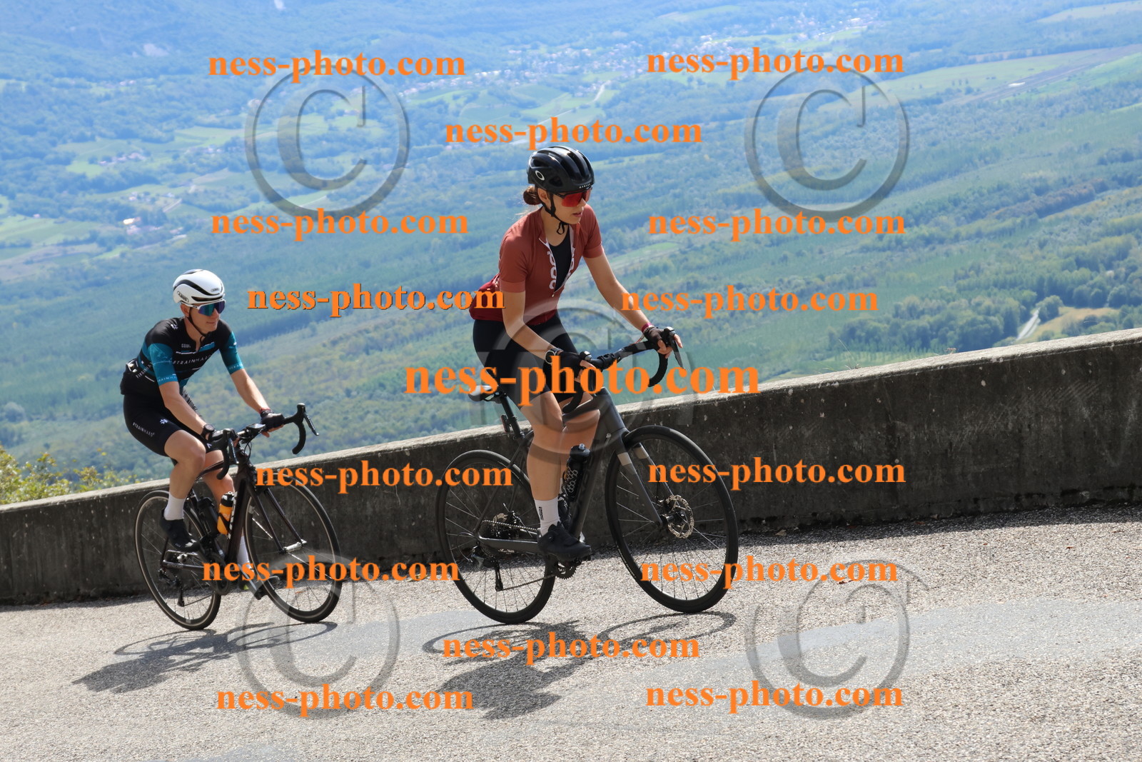 Col du Grand Colombier (500).JPG