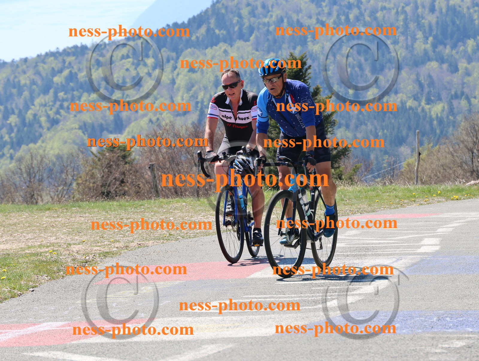 Col du Grand Colombier (248).JPG