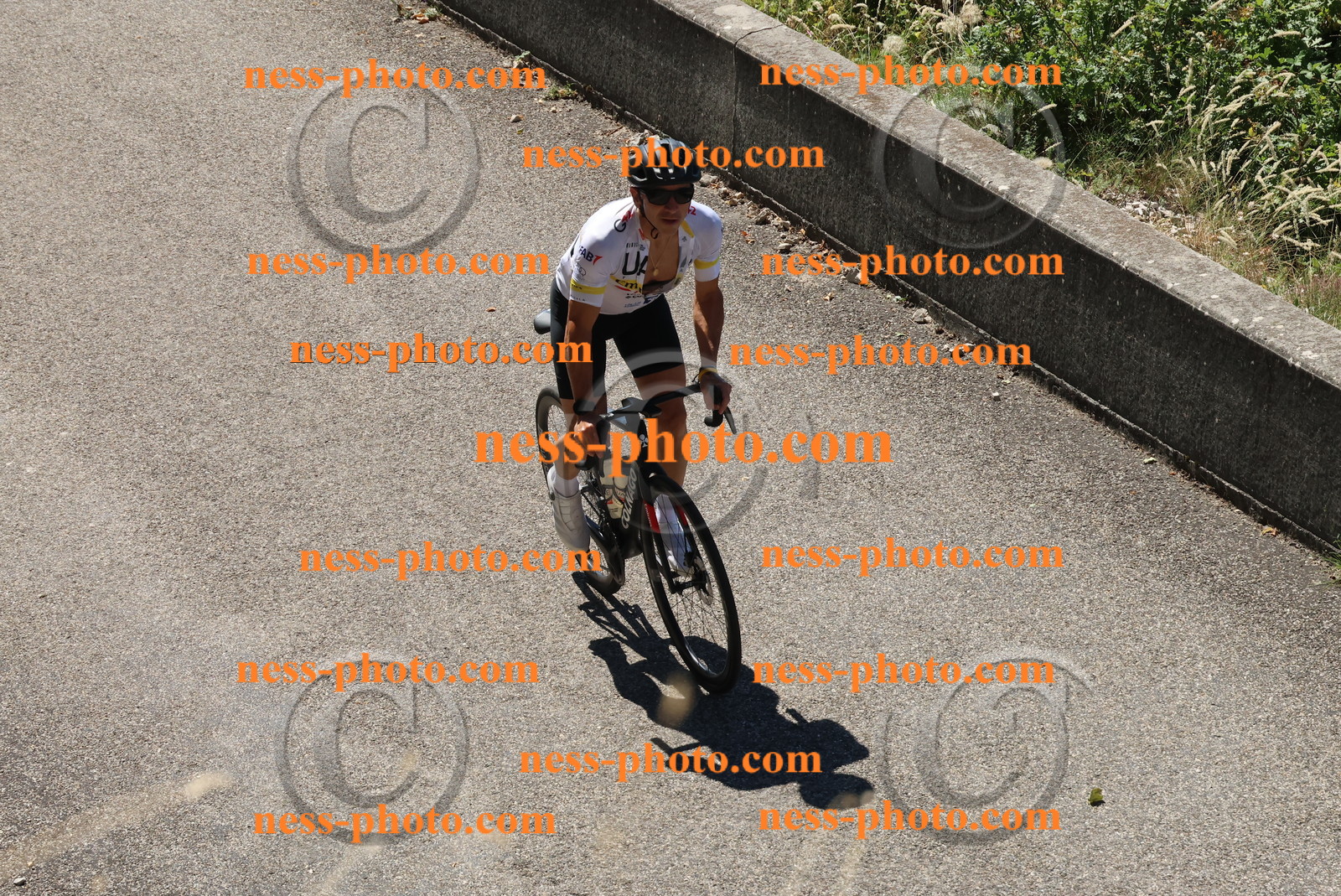 Col du Grand Colombier (385).JPG