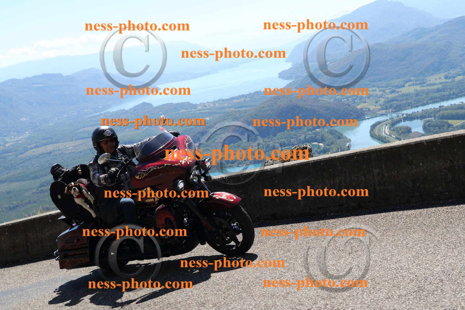 Col du Grand Colombier (260).JPG