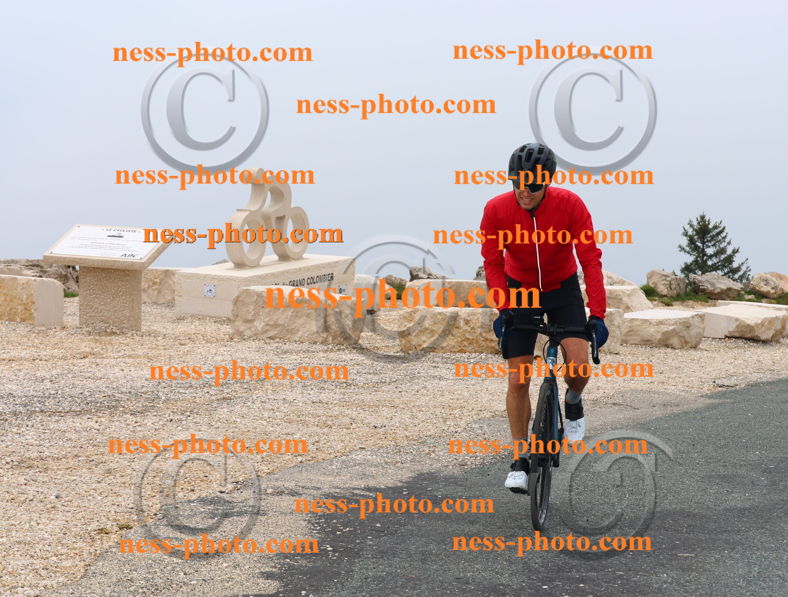 Col du Grand Colombier (495).JPG