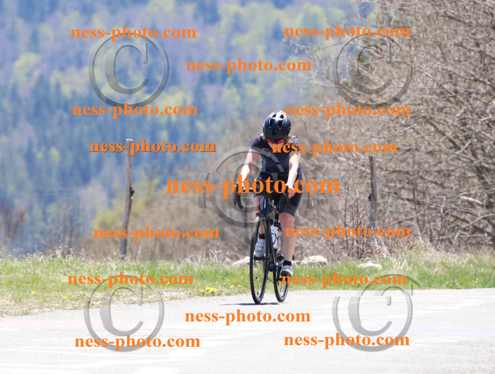 Col du Grand Colombier (651).JPG