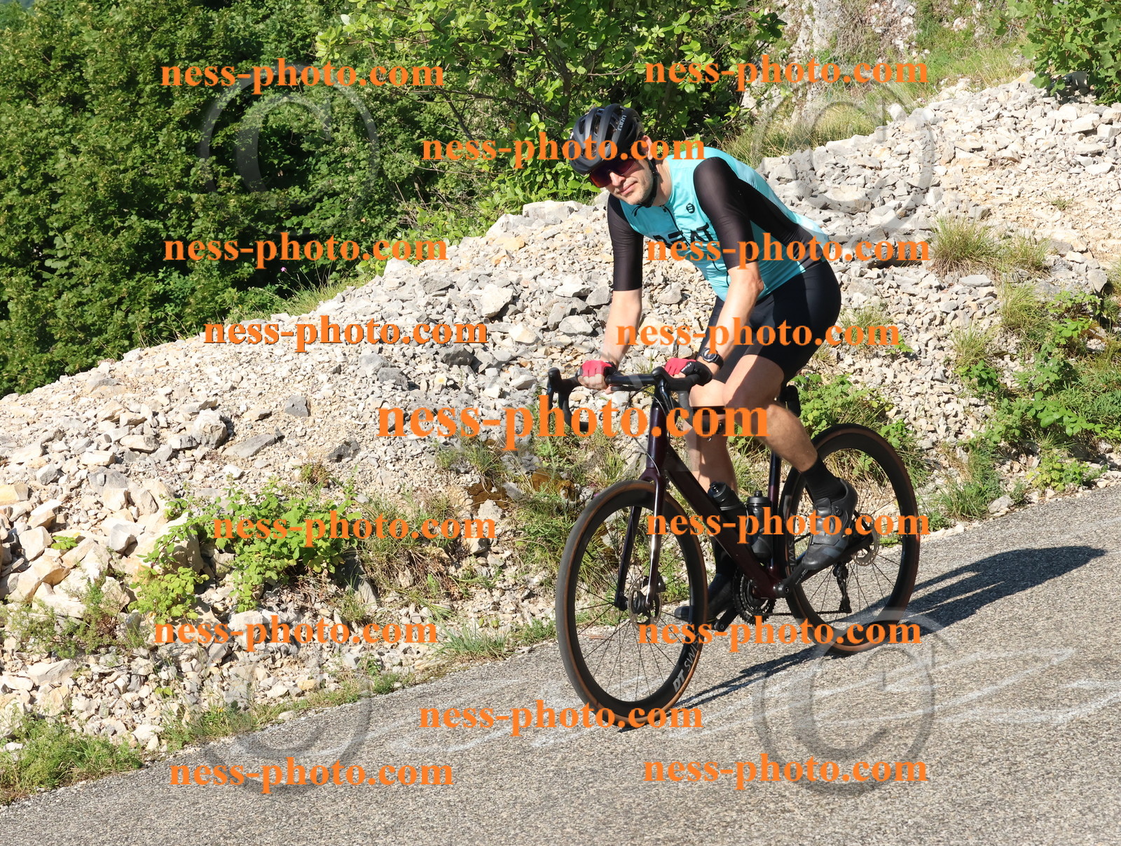 Col du Grand Colombier (66).JPG