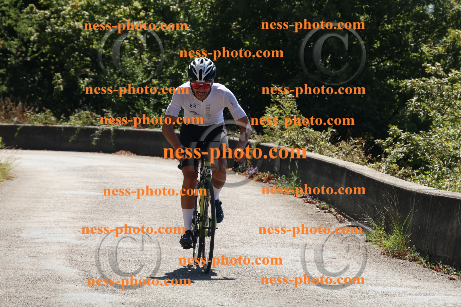 Col du Grand Colombier (87).JPG