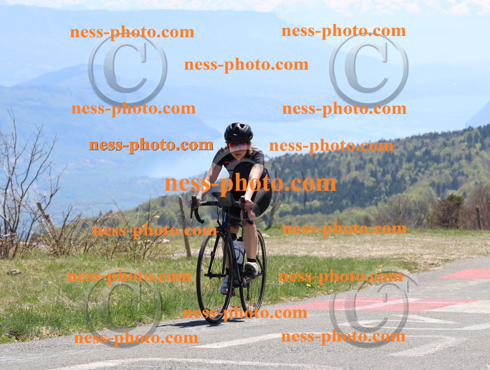 Col du Grand Colombier (656).JPG