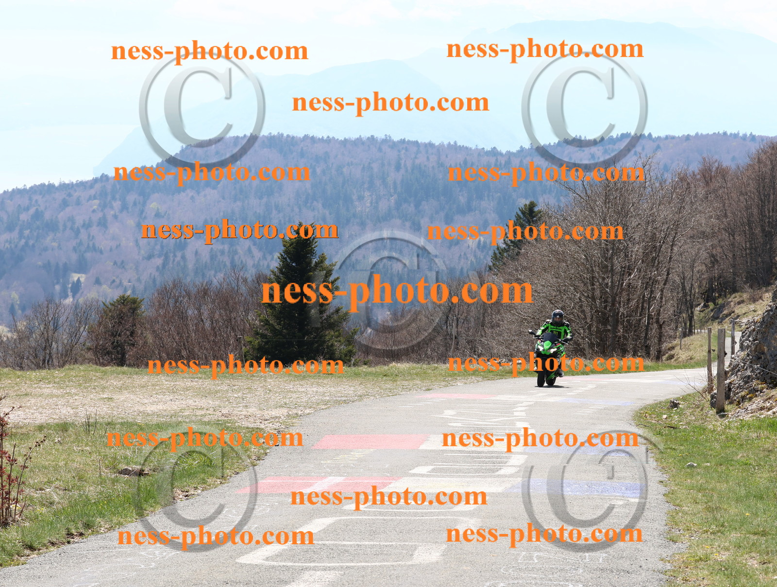 Col  du Grand Colombier (25).JPG