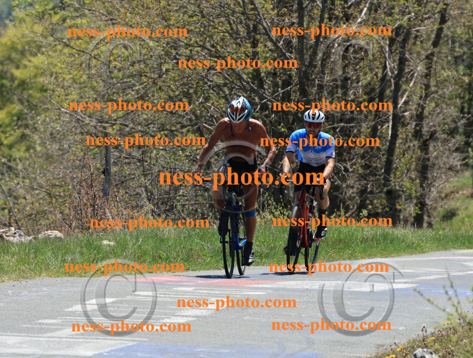 Col du Grand Colombier (457).JPG