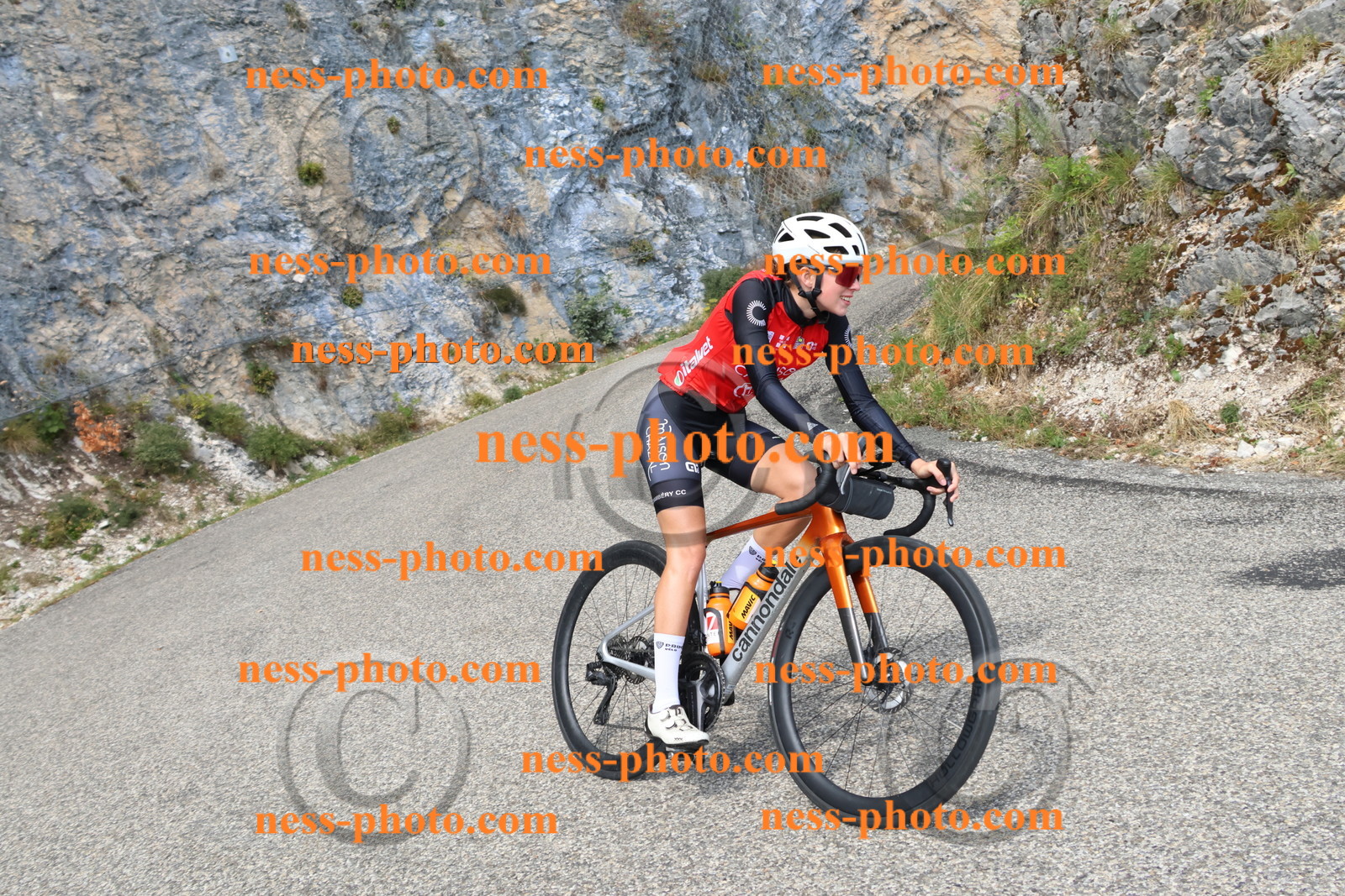 Col du Grand Colombier (721).JPG