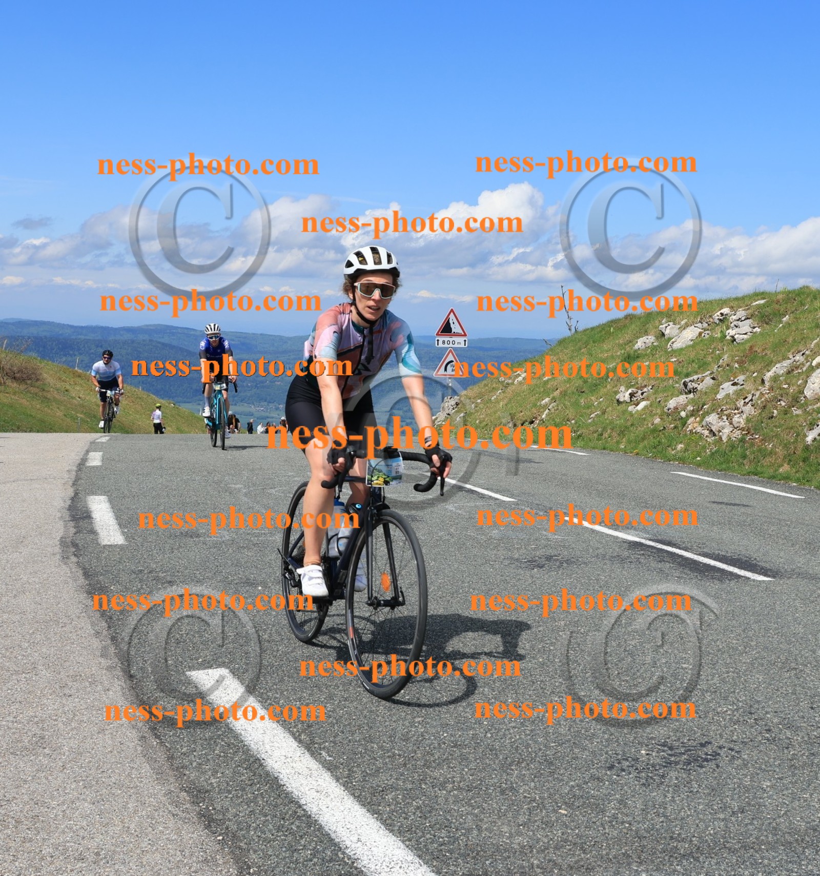 Col du Grand Colombier (1137).JPG