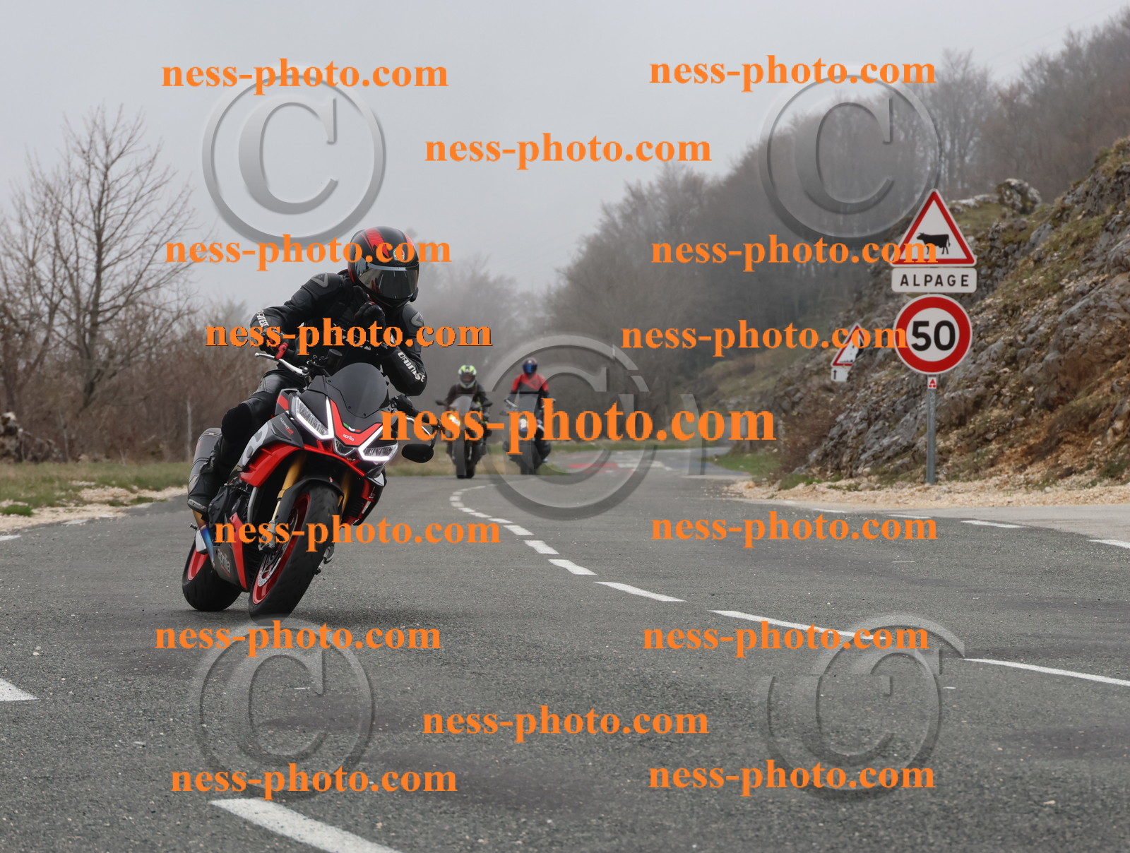 Col du Grand Colombier (8).JPG