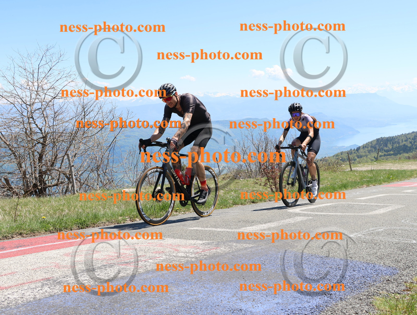 Col du Grand Colombier (761).JPG