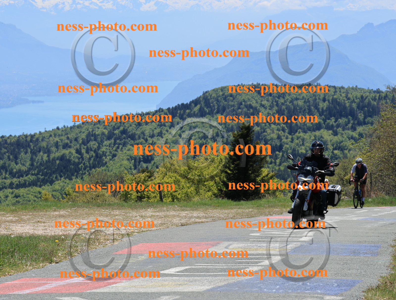 Col du Grand Colombier (225).JPG