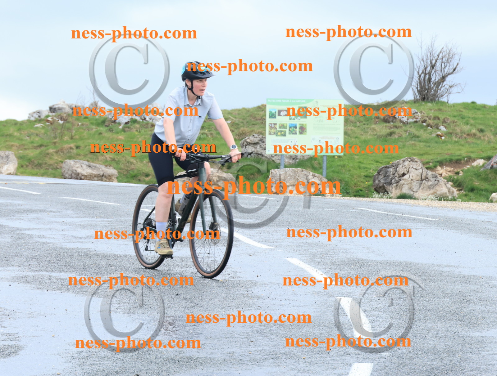 Col du Grand Colombier (233).JPG