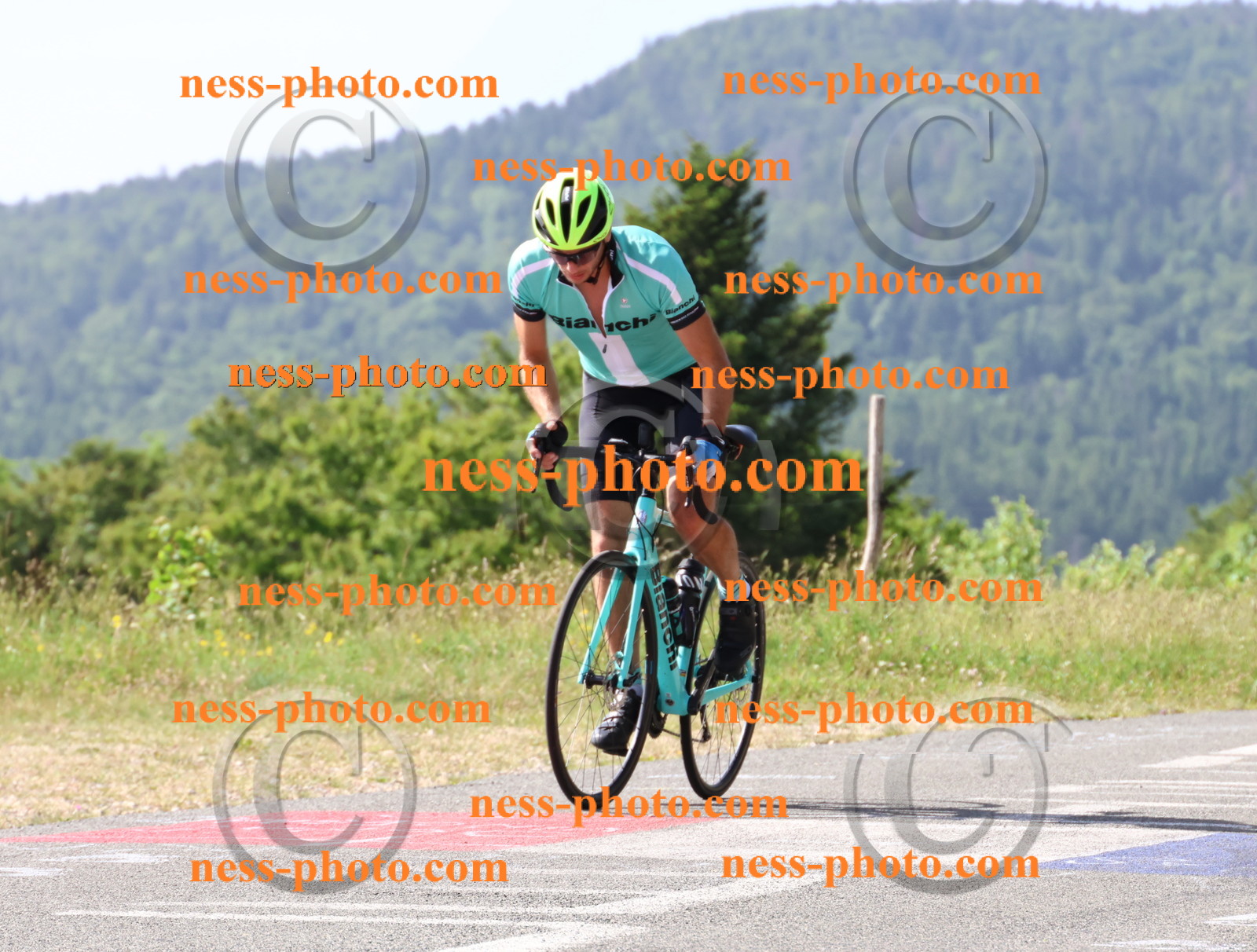 Col du grand Colombier (374).JPG