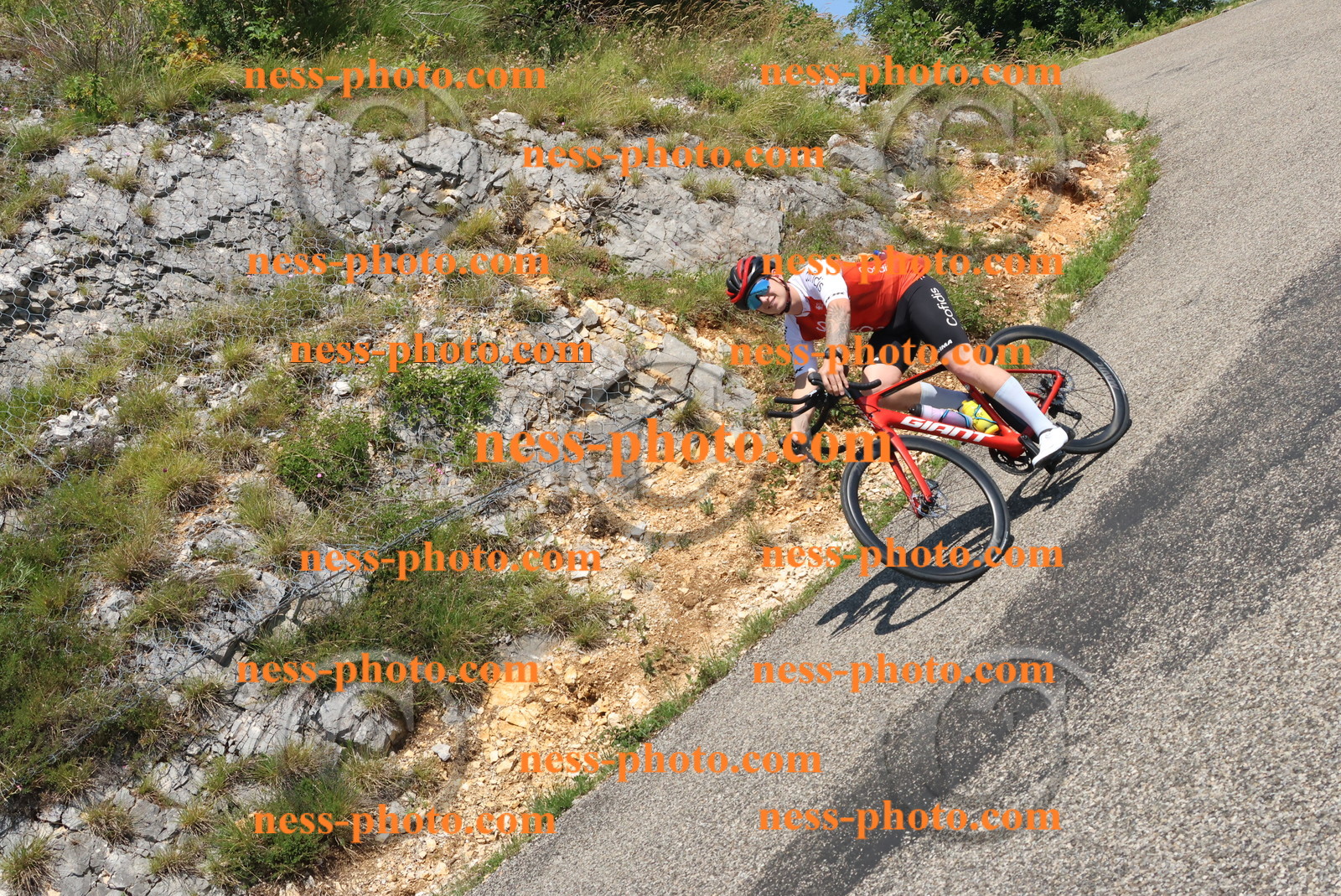 Col du Grand Colombier (480).JPG