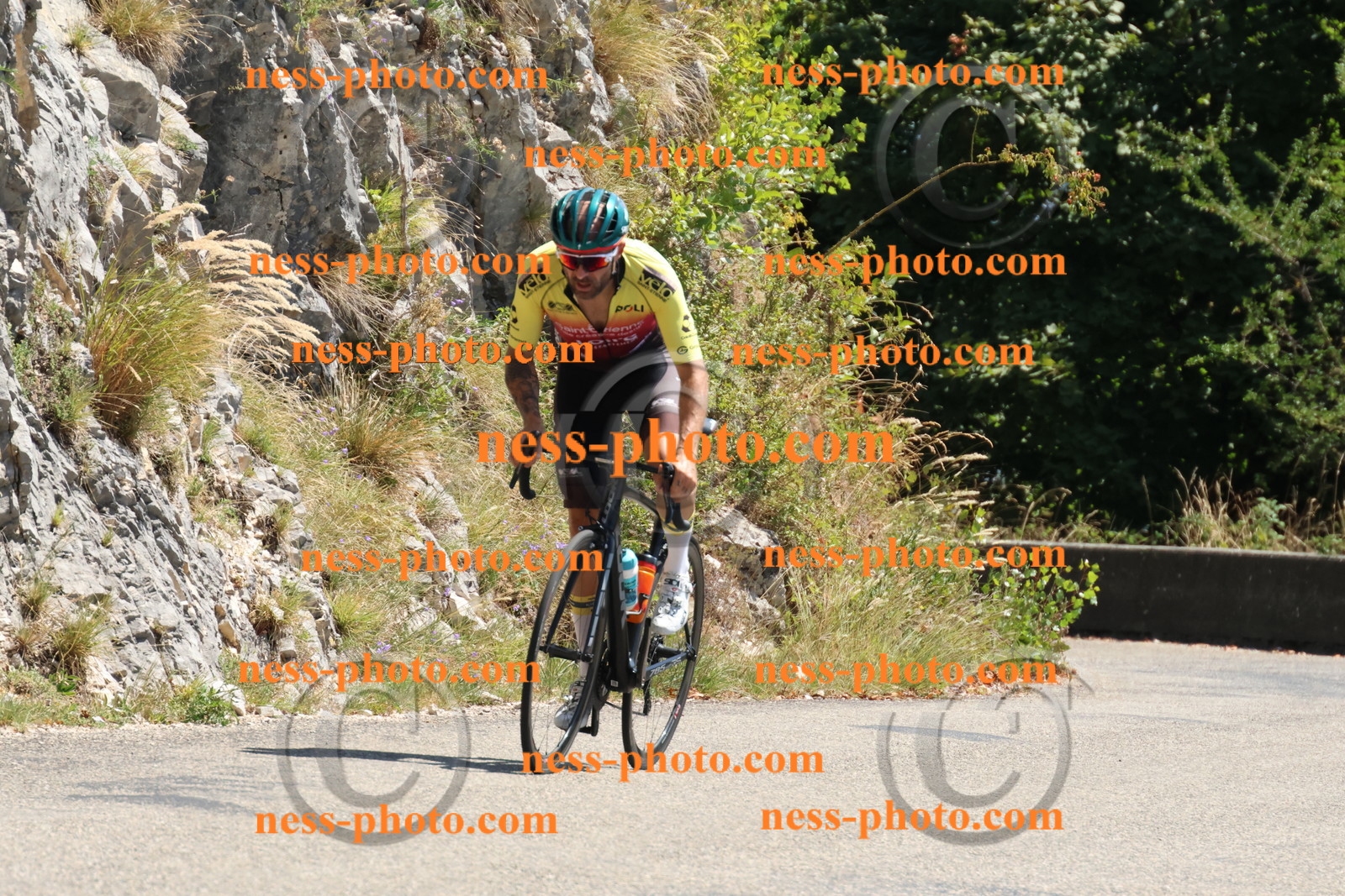 Col du Grand Colombier (446).JPG