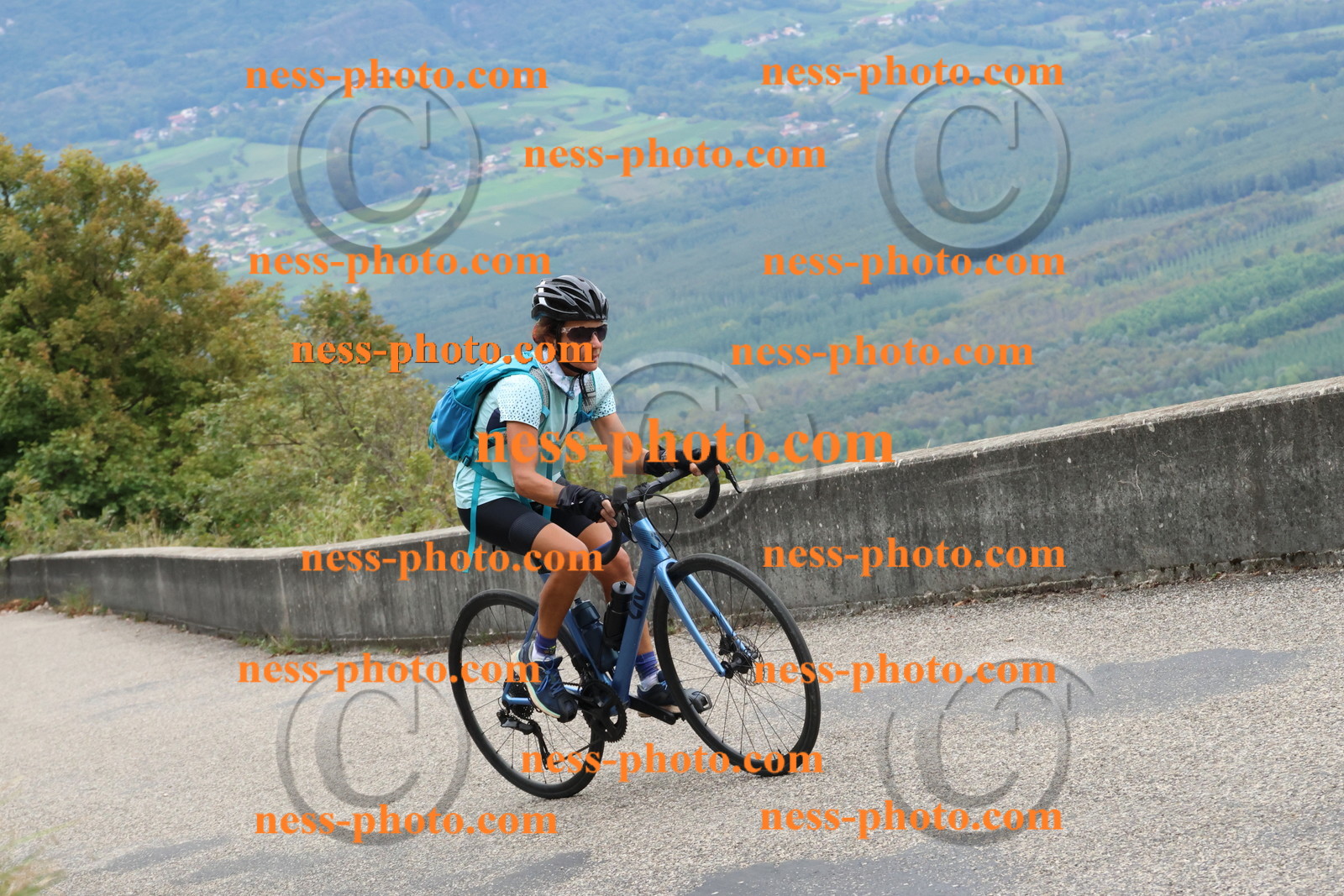 Col du Grand Colombier (2059).JPG