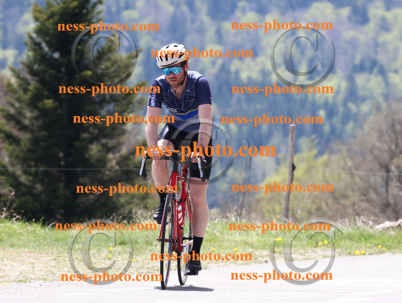 Col du Grand Colombier (389).JPG