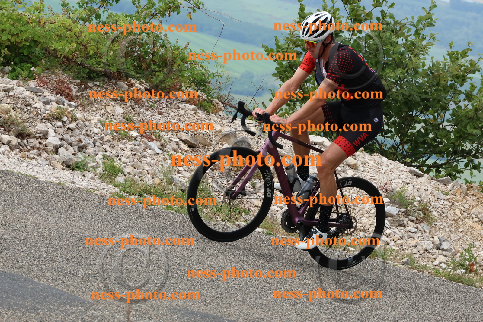 Col du Grand Colombier (156).JPG