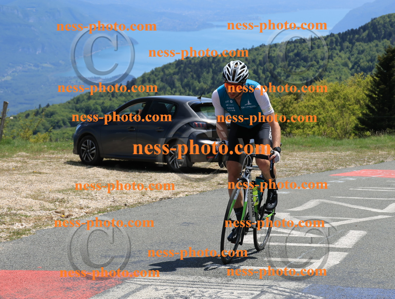 Col du Grand Colombier (496).JPG