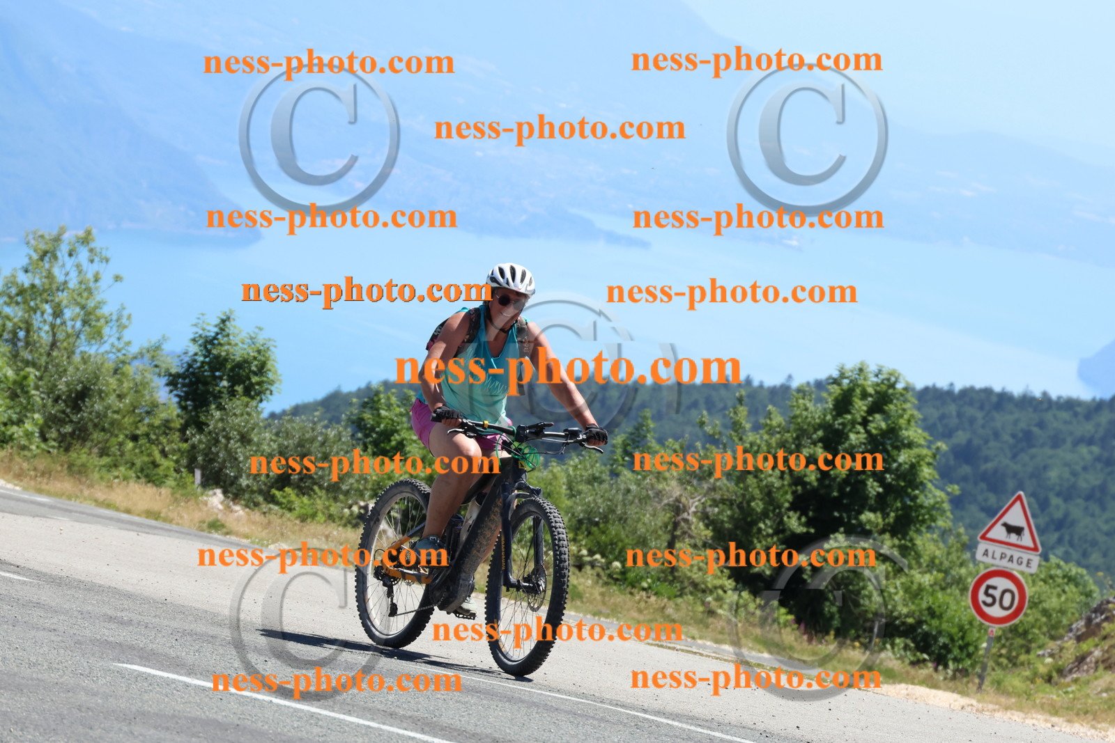 Col du Grand colombier (243).JPG