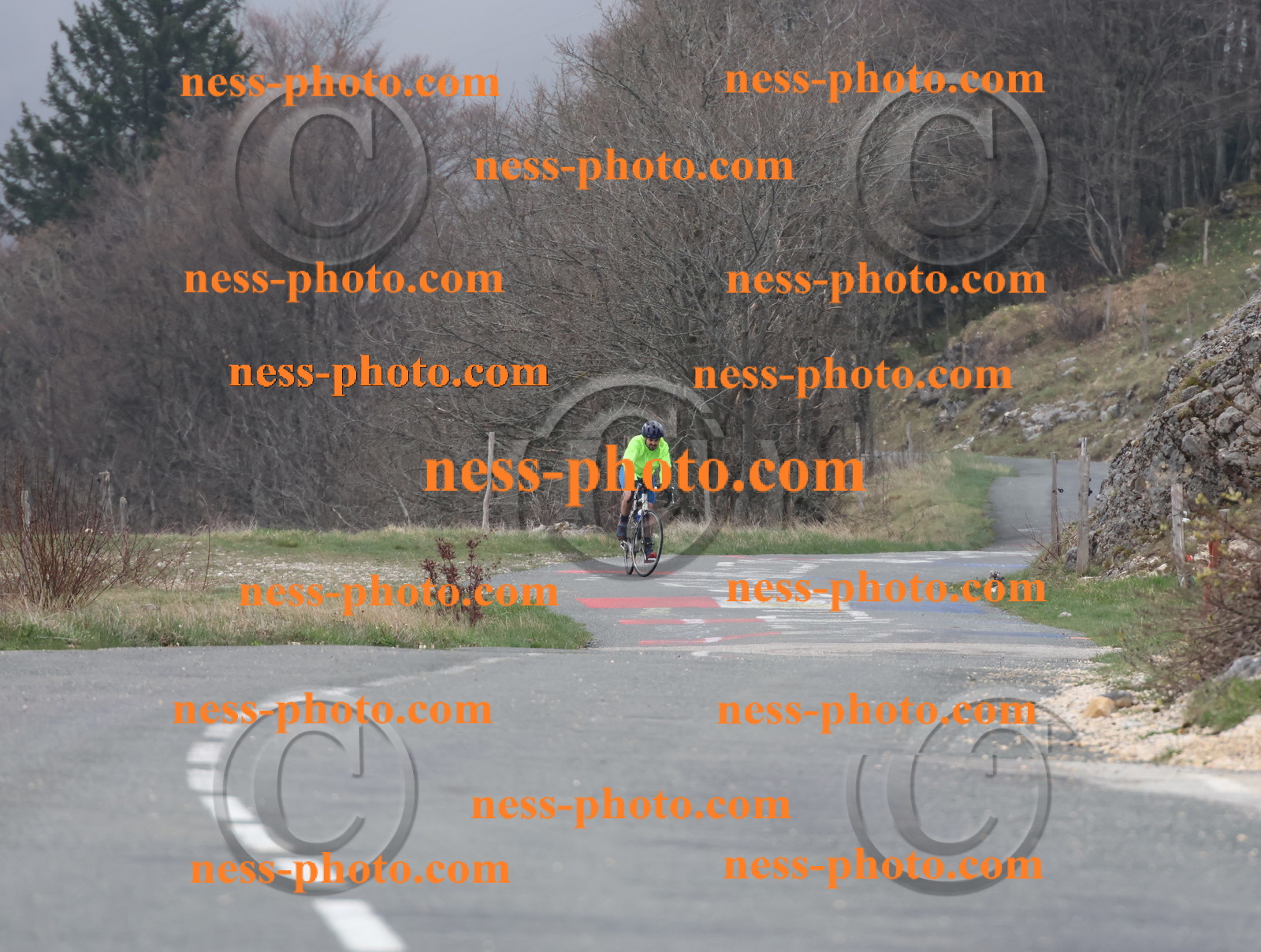 Col du Grand Colombier (4).JPG