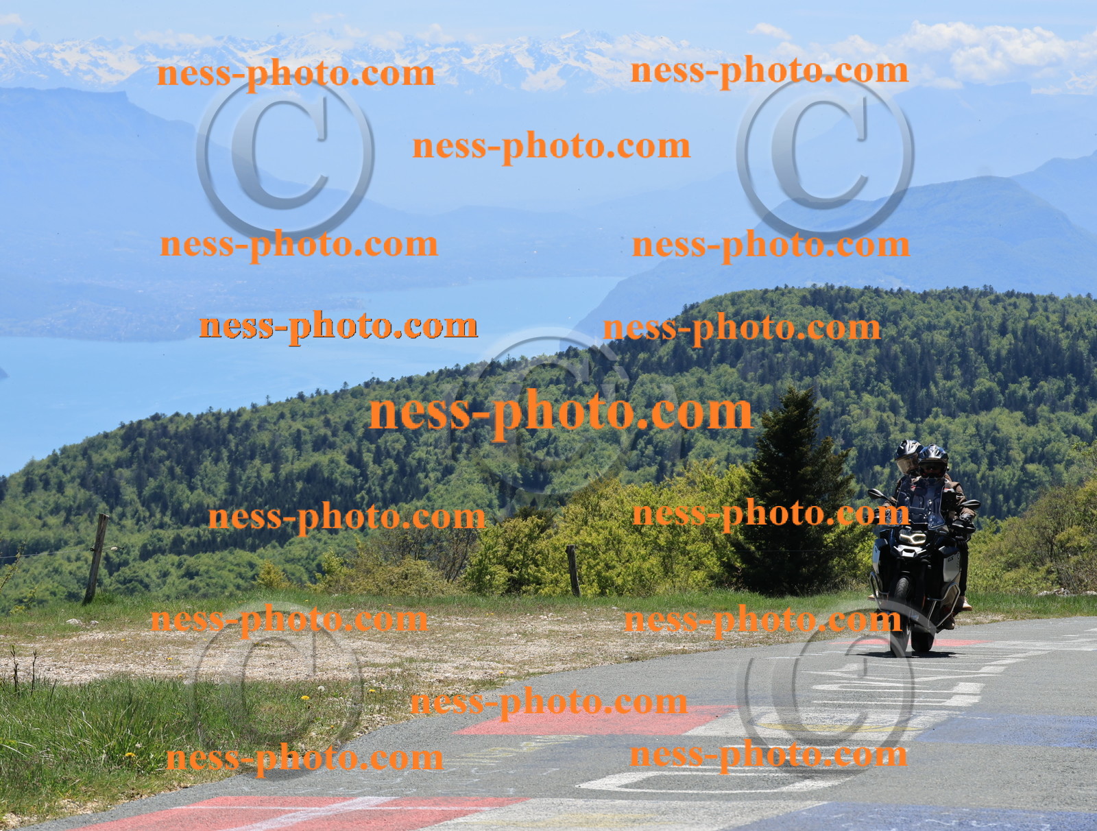 Col du Grand Colombier (231).JPG