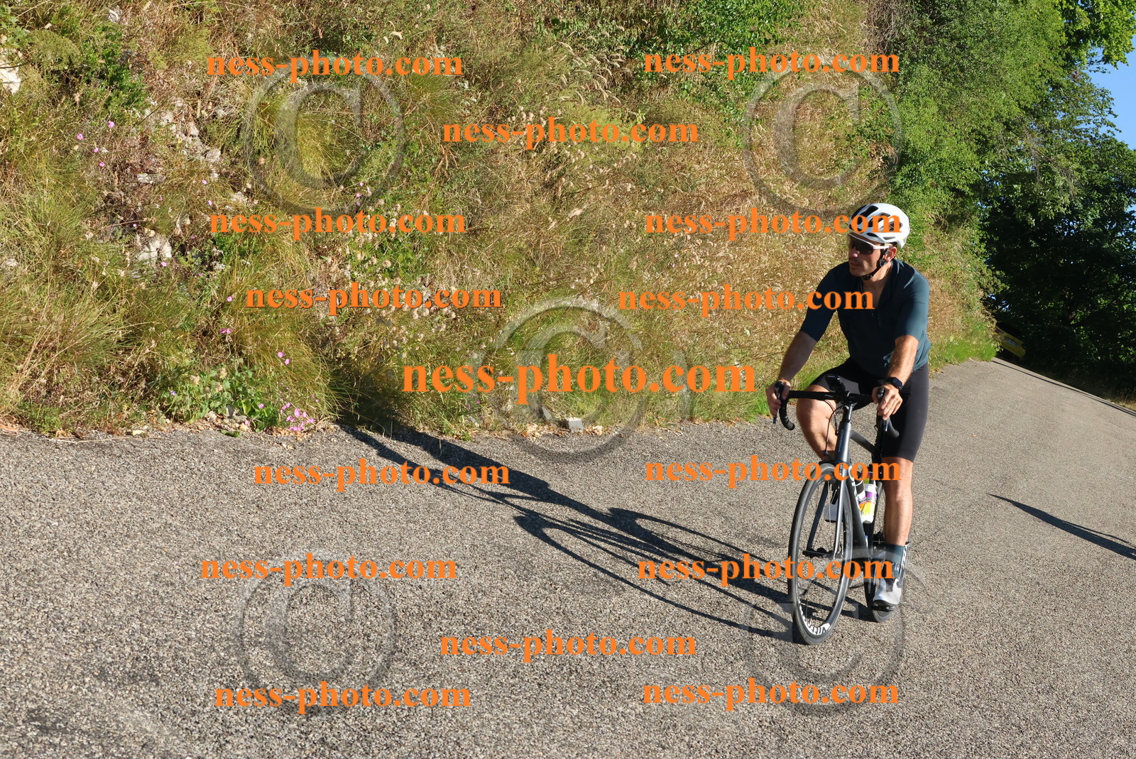 Col du Grand Colombier (105).JPG