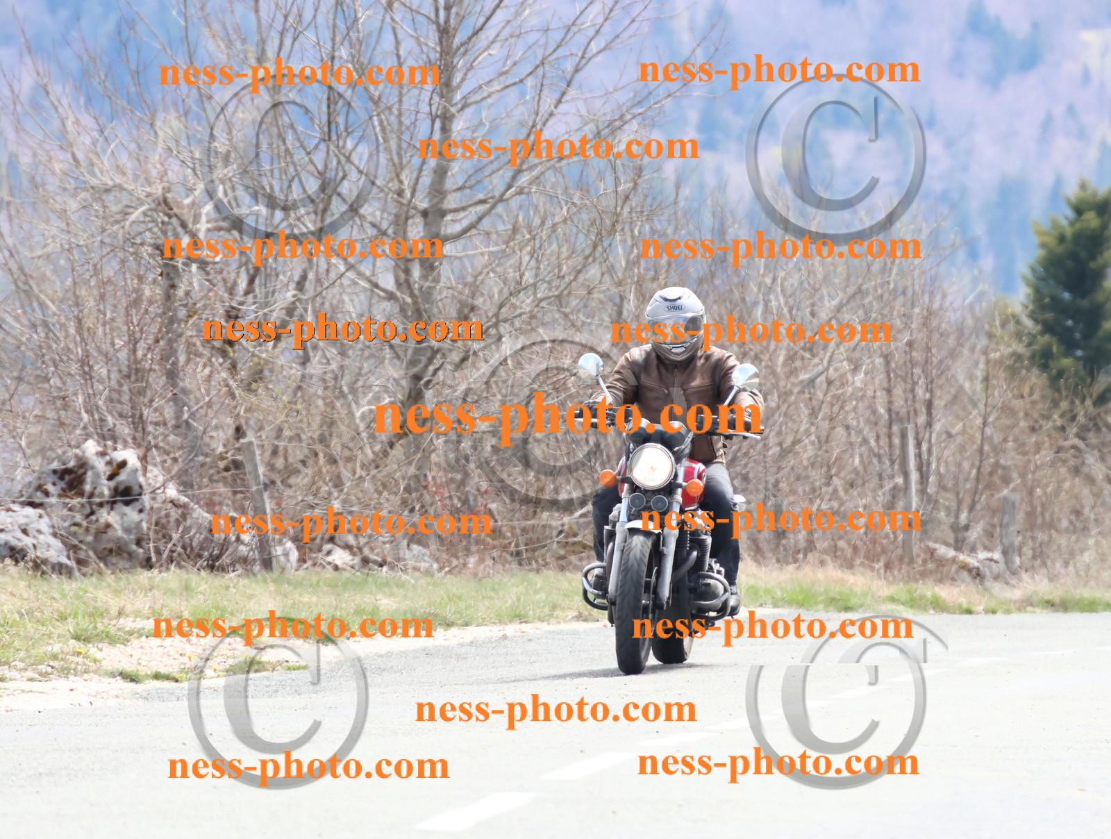 Col  du Grand Colombier (33).JPG