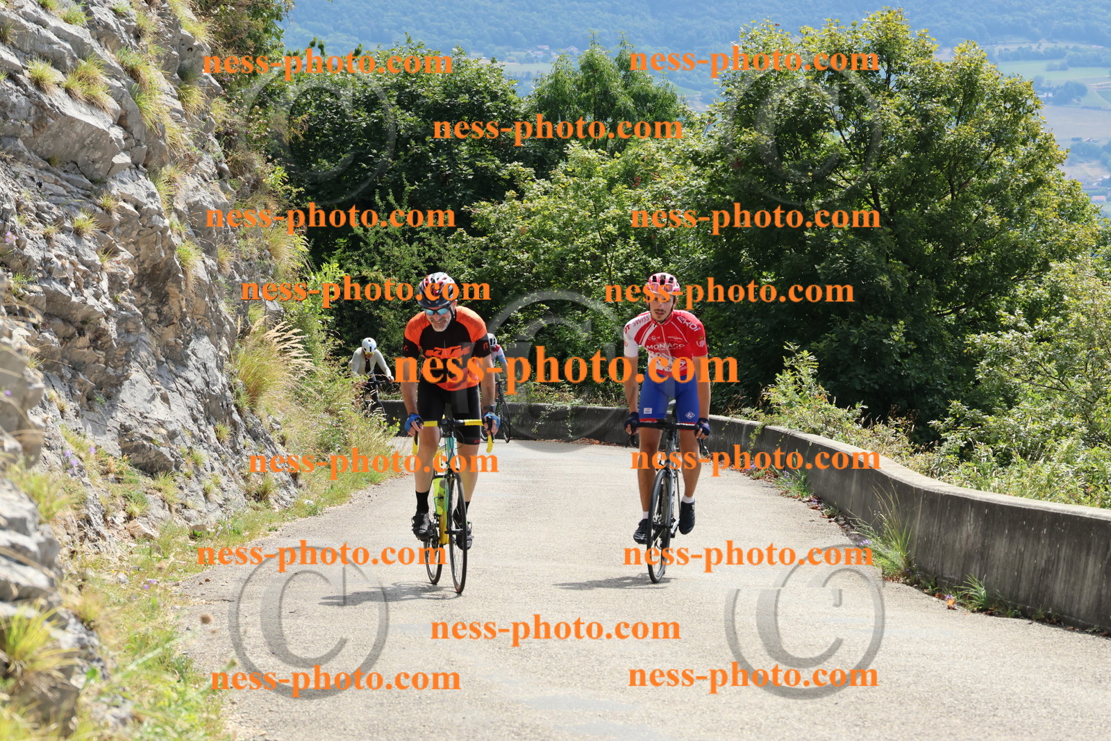 Col du Grand Colombier (258).JPG