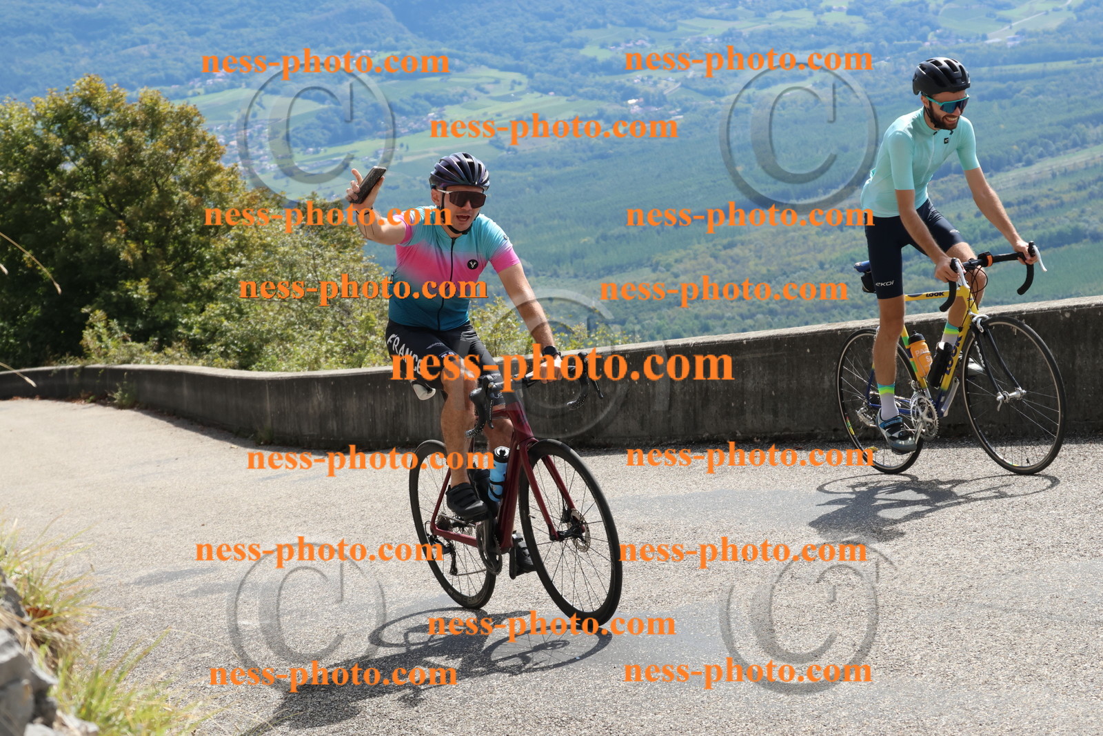 Col du Grand Colombier (484).JPG