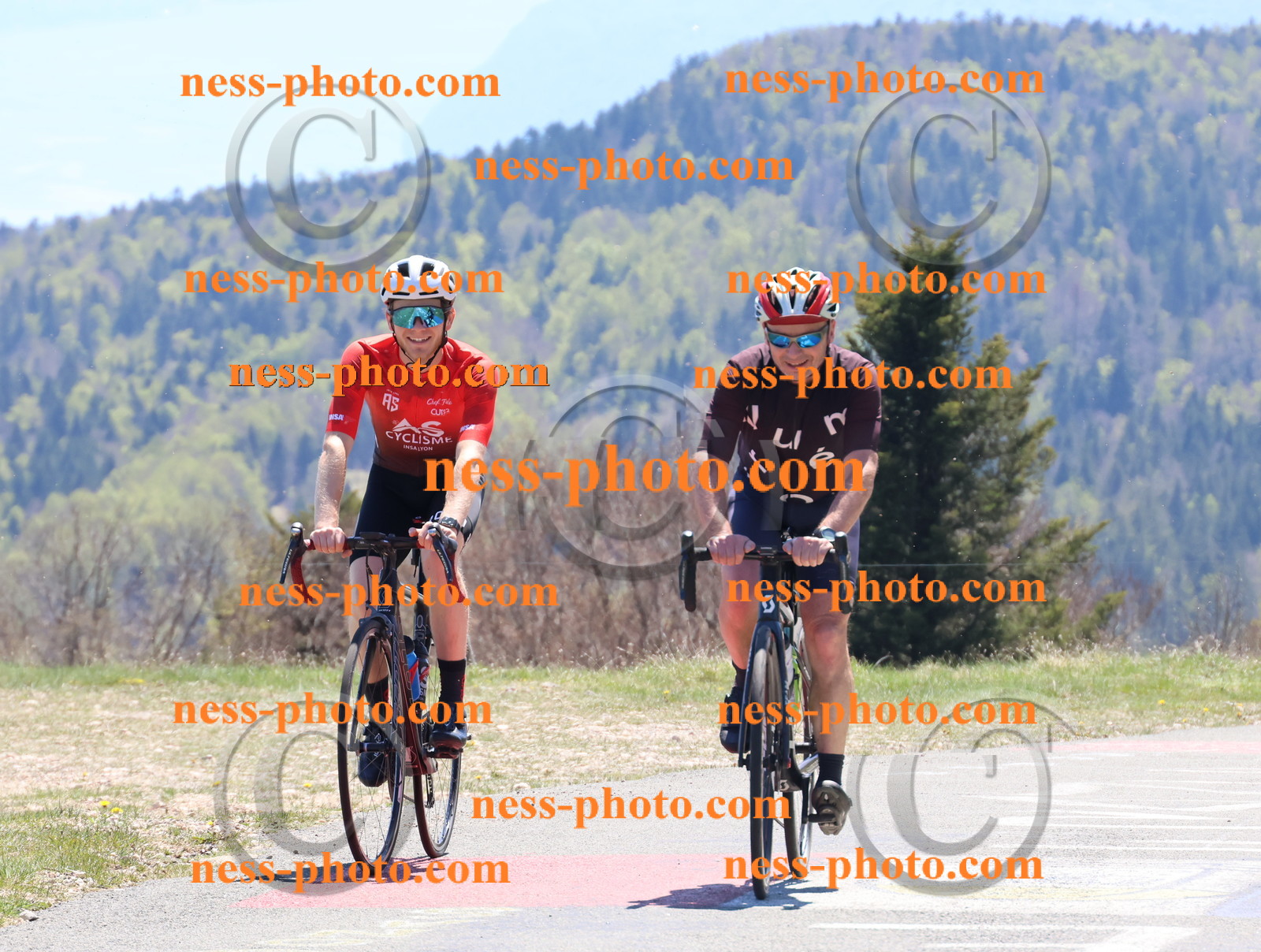 Col du Grand Colombier (601).JPG