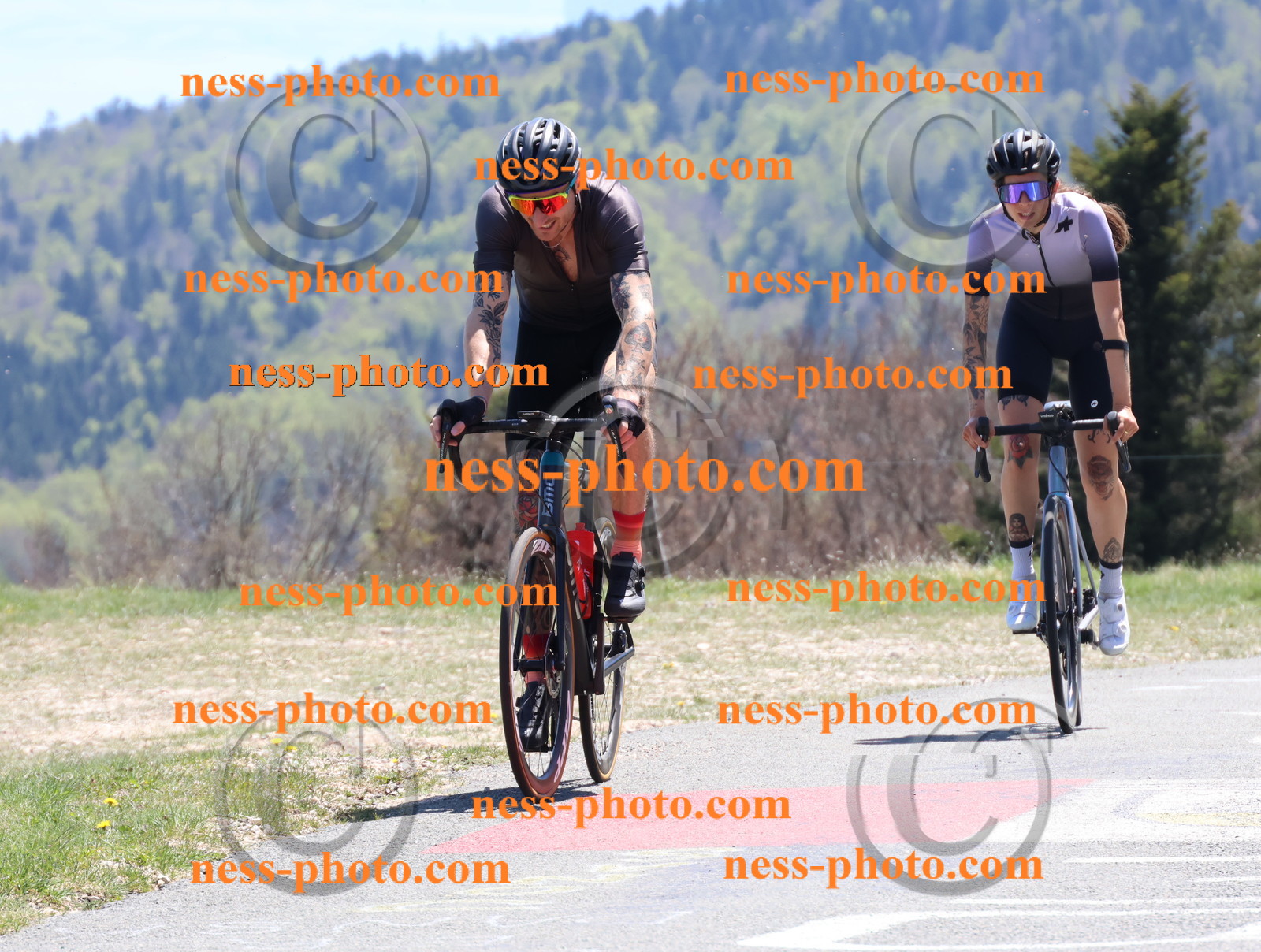 Col du Grand Colombier (758).JPG