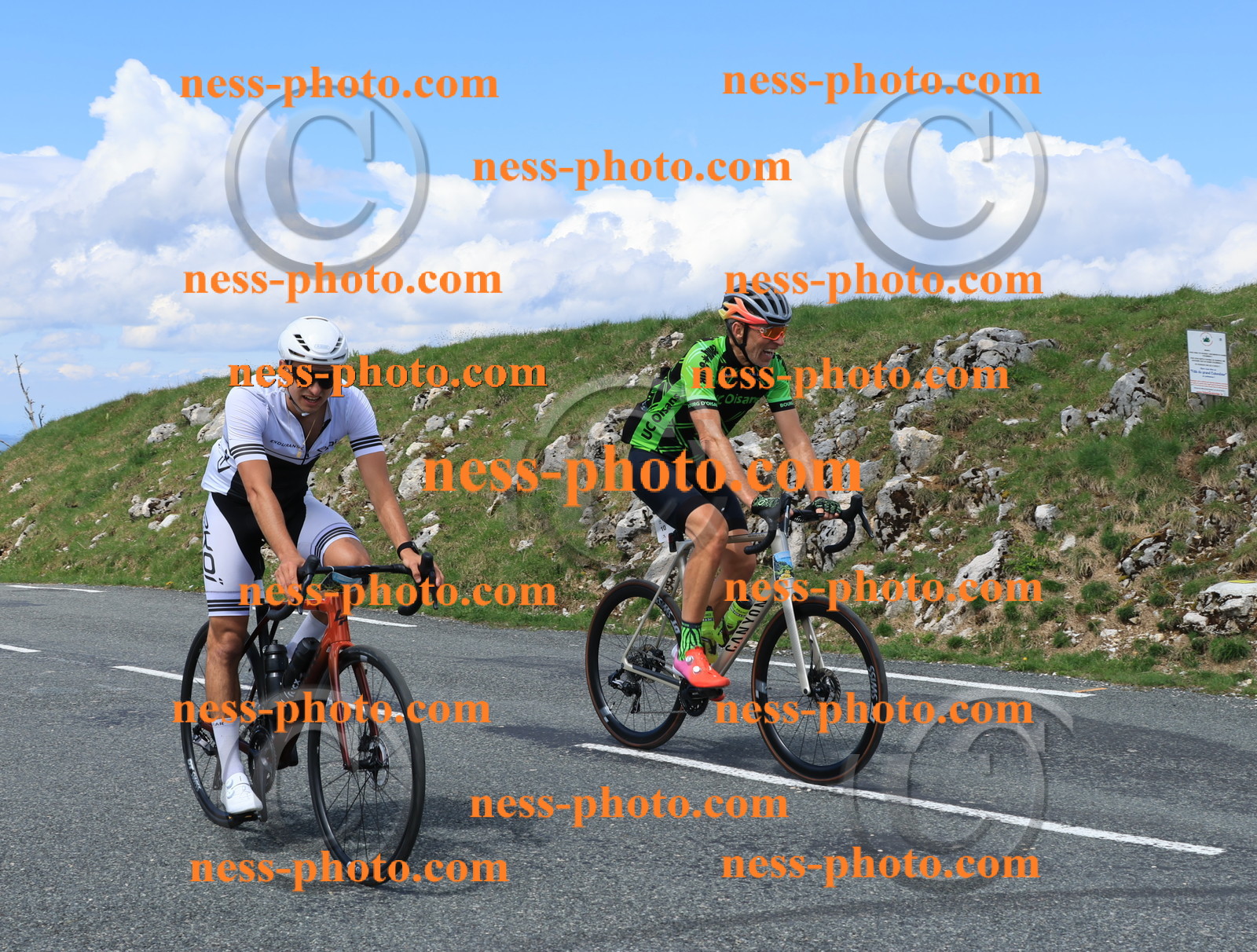 Col du Grand Colombier (2553).JPG