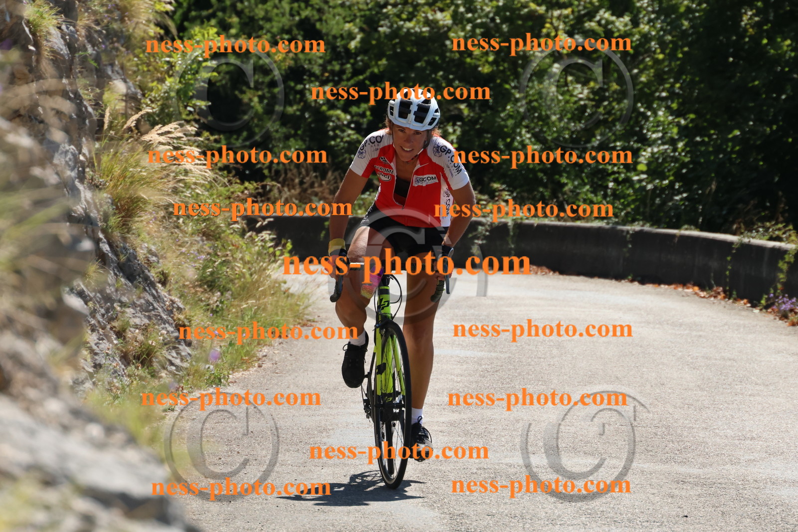 Col du Grand Colombier (149).JPG